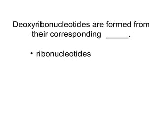 Deoxyribonucleotides are formed from 
their corresponding _____. 
• ribonucleotides 
 