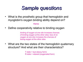 SSaammppllee qquueessttiioonnss 
• What is the prosthetic group that hemoglobin and 
myoglobin's oxygen binding ability depend on? 
Heme 
• Define cooperativity relative to binding oxygen 
binding of oxygen at one site increases chances 
of binding oxygen at the other sites; loss of an 
oxygen at one site increases the chances of 
losing oxygen at the other sites 
• What are the two states of the hemoglobin quaternary 
structure? And what are their characteristics? 
T state = taut (deoxy form) 
R state = relaxed (oxygenated form) 
 