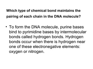 Which type of chemical bond maintains the 
pairing of each chain in the DNA molecule? 
• To form the DNA molecule, purine bases 
bind to pyrimidine bases by intermolecular 
bonds called hydrogen bonds. Hydrogen 
bonds occur when there is hydrogen near 
one of these electronegative elements: 
oxygen or nitrogen. 
 