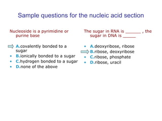 Sample questions for the nucleic acid section 
Nucleoside is a pyrimidine or 
purine base 
• A.covalently bonded to a 
sugar 
• B.ionically bonded to a sugar 
• C.hydrogen bonded to a sugar 
• D.none of the above 
The sugar in RNA is ______ , the 
sugar in DNA is _____ 
• A.deoxyribose, ribose 
• B.ribose, deoxyribose 
• C.ribose, phosphate 
• D.ribose, uracil 
 