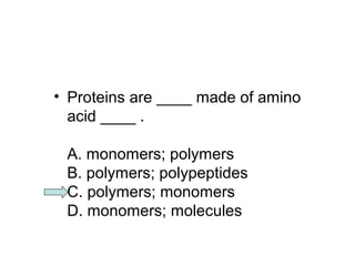 • Proteins are ____ made of amino 
acid ____ . 
A. monomers; polymers 
B. polymers; polypeptides 
C. polymers; monomers 
D. monomers; molecules 
 