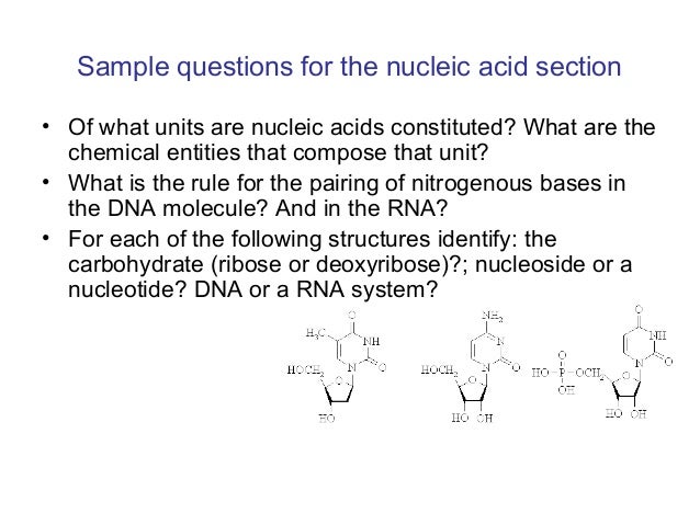 Questions of biochemistry with answers of all chapter