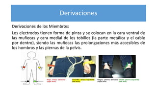 Derivaciones
Derivaciones de los Miembros:
Los electrodos tienen forma de pinza y se colocan en la cara ventral de
las muñecas y cara medial de los tobillos (la parte metálica y el cable
por dentro), siendo las muñecas las prolongaciones más accesibles de
los hombros y las piernas de la pelvis.
 