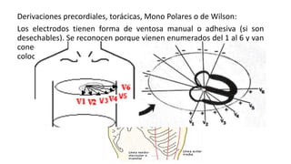 Derivaciones precordiales, torácicas, Mono Polares o de Wilson:
Los electrodos tienen forma de ventosa manual o adhesiva (si son
desechables). Se reconocen porque vienen enumerados del 1 al 6 y van
conectados al electrocardiógrafo por los cables cortos. Es importante
colocarlos en el sitio correspondiente.
 