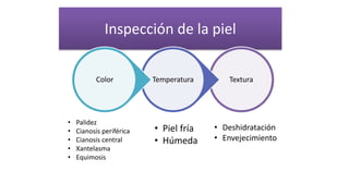 Inspección de la piel
TexturaTemperaturaColor
• Palidez
• Cianosis periférica
• Cianosis central
• Xantelasma
• Equimosis
• Deshidratación
• Envejecimiento
• Piel fría
• Húmeda
 