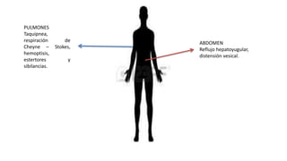 PULMONES
Taquipnea,
respiración de
Cheyne – Stokes,
hemoptisis,
estertores y
sibilancias.
ABDOMEN
Reflujo hepatoyugular,
distensión vesical.
 