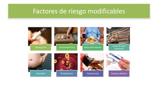 Factores de riesgo modificables
Tabaquismo Inactividad física Mala alimentación
Estilo de Vida
Acelerado
Obesidad Dislipidemias Hipertensión Diabetes Mellitus
 