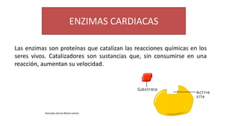ENZIMAS CARDIACAS
Gonzalez Garcia Maria Leticia
Las enzimas son proteínas que catalizan las reacciones químicas en los
seres vivos. Catalizadores son sustancias que, sin consumirse en una
reacción, aumentan su velocidad.
 