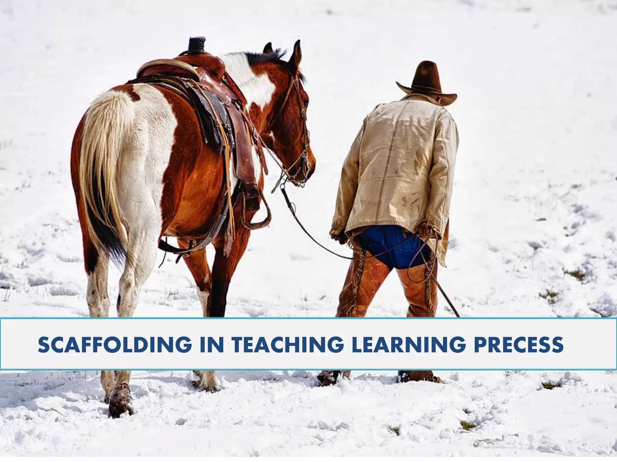 SCAFFOLDING IN TEACHING LEARNING PRECESS