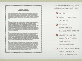 COMPREHENDING AND
                                 Gorillas in Crisis
                                                                                                   RESPONDING TO A TEXT
                              By Kathleen Donovan-Snavely


What will you have for supper tonight? Hotdogs? Pizza? Gorilla? It may surprise you to
know that these “gentle creatures of the jungle” regularly appear as the featured entrée at
                                                                                                       A TEXT
many a meal served near the African rainforest. That isn’t the only problem that haunts
gorillas lately. The combined threats posed by hunters, loggers, and disease are eliminating
large numbers of gorillas in central and West Africa. The future of gorillas in the wild is at
risk.
                                                                                                       MAP TO RECORD
1.
                                                                                                       DETAILS
Gorilla meat is a dietary staple for nearly 12 million people who live near the rainforests of
central and West Africa. Some Africans prefer bush meat, such as gorilla, because it
provides an economical source of daily protein. Poor families without the means to
purchase food at the market travel a short distance to the rainforest to get bush meat. Their
                                                                                                       MAP TO
only expense is the cost of ammunition and the fee to rent a gun. Some of these same
families raise chickens and goats, but do not eat them. Instead, they sell the animals for the
cash they need for buying supplies. Africa’s population is increasing rapidly, along with its
                                                                                                       SUMMARISE
demand for bush meat. If nothing changes, primatologists fear that gorillas may become
extinct in the next thirty years.
                                                                                                       CAUSE AND EFFECT
2.
Moving away from one’s childhood home sometimes leaves us longing for familiar places
and traditions. Naturally, the African families who move away from their original
rainforest homes struggle with these feelings of sadness and displacement. Now living in               QUESTIONS TO
villages and cities, they eat bush meat to feel closer to the past and to their old way of life.
For them, gorilla feeds the body and the soul as well. This custom brings little comfort to
endangered gorillas, whose females produce only one offspring every five to seven years. It            SKIM FOR FACTS
is easy to see why gorillas are being killed faster than they can reproduce.

3.
While Africans plunder the gorilla population, they are not the only ones. Over the years,
                                                                                                       AND DRAW
their European neighbors have developed a taste for exotic bush meat as a status symbol.
Trophy hunters value gorillas for their collectable heads and hands. Finally, some hunters
persist in the decades-long practice of trapping young gorillas to sell to zoos and private
                                                                                                       CONCLUSIONS
citizens across the world. When mature members of the gorilla troop try to defend an
infant, hunters shoot to preserve their prize. Entire troops of gorillas have perished this
way. The international gorilla trade continues even though it is illegal, since the laws are
nearly impossible to enforce. Gorilla populations continue to decline.
                                                                                                       LETTER RESPONSE
                                                                                                       WRITTEN AS A
                                                                                                       CLOZE EXERCISE
 