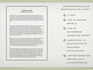 COMPREHENDING AND
                                 Gorillas in Crisis
                                                                                                   RESPONDING TO A TEXT
                              By Kathleen Donovan-Snavely


What will you have for supper tonight? Hotdogs? Pizza? Gorilla? It may surprise you to
know that these “gentle creatures of the jungle” regularly appear as the featured entrée at
                                                                                                       A TEXT
many a meal served near the African rainforest. That isn’t the only problem that haunts
gorillas lately. The combined threats posed by hunters, loggers, and disease are eliminating
large numbers of gorillas in central and West Africa. The future of gorillas in the wild is at
risk.
                                                                                                       MAP TO RECORD
1.
                                                                                                       DETAILS
Gorilla meat is a dietary staple for nearly 12 million people who live near the rainforests of
central and West Africa. Some Africans prefer bush meat, such as gorilla, because it
provides an economical source of daily protein. Poor families without the means to
purchase food at the market travel a short distance to the rainforest to get bush meat. Their
                                                                                                       MAP TO
only expense is the cost of ammunition and the fee to rent a gun. Some of these same
families raise chickens and goats, but do not eat them. Instead, they sell the animals for the
cash they need for buying supplies. Africa’s population is increasing rapidly, along with its
                                                                                                       SUMMARISE
demand for bush meat. If nothing changes, primatologists fear that gorillas may become
extinct in the next thirty years.
                                                                                                       CAUSE AND EFFECT
2.
Moving away from one’s childhood home sometimes leaves us longing for familiar places
and traditions. Naturally, the African families who move away from their original
rainforest homes struggle with these feelings of sadness and displacement. Now living in               QUESTIONS TO
villages and cities, they eat bush meat to feel closer to the past and to their old way of life.
For them, gorilla feeds the body and the soul as well. This custom brings little comfort to
endangered gorillas, whose females produce only one offspring every five to seven years. It            SKIM FOR FACTS
is easy to see why gorillas are being killed faster than they can reproduce.

3.
While Africans plunder the gorilla population, they are not the only ones. Over the years,
                                                                                                       AND DRAW
their European neighbors have developed a taste for exotic bush meat as a status symbol.
Trophy hunters value gorillas for their collectable heads and hands. Finally, some hunters
persist in the decades-long practice of trapping young gorillas to sell to zoos and private
                                                                                                       CONCLUSIONS
citizens across the world. When mature members of the gorilla troop try to defend an
infant, hunters shoot to preserve their prize. Entire troops of gorillas have perished this
way. The international gorilla trade continues even though it is illegal, since the laws are
nearly impossible to enforce. Gorilla populations continue to decline.
                                                                                                       LETTER RESPONSE
                                                                                                       WRITTEN AS A
                                                                                                       CLOZE EXERCISE
 