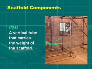 • Post
A vertical tube
that carries
the weight of
the scaffold.
Posts
Scaffold Components
 