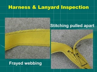 Harness & Lanyard Inspection
Frayed webbing
Stitching pulled apart
 