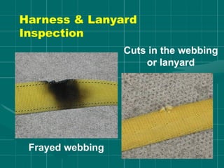 Harness & Lanyard
Inspection
Frayed webbing
Cuts in the webbing
or lanyard
 