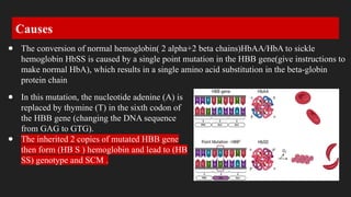 Hemoglobin Apathies ,Causes ,Precautions | PPTX