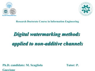Digital watermarking methods  applied to non-additive channels Ph.D. candidate: M. Scagliola       Tutor: P. Guccione Research Doctorate Course in Information Engineering 
