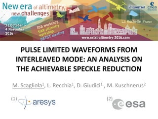 PULSE LIMITED WAVEFORMS FROM
INTERLEAVED MODE: AN ANALYSIS ON
THE ACHIEVABLE SPECKLE REDUCTION
M. Scagliola1, L. Recchia1, D. Giudici1 , M. Kuschnerus2
(2)(1)
 