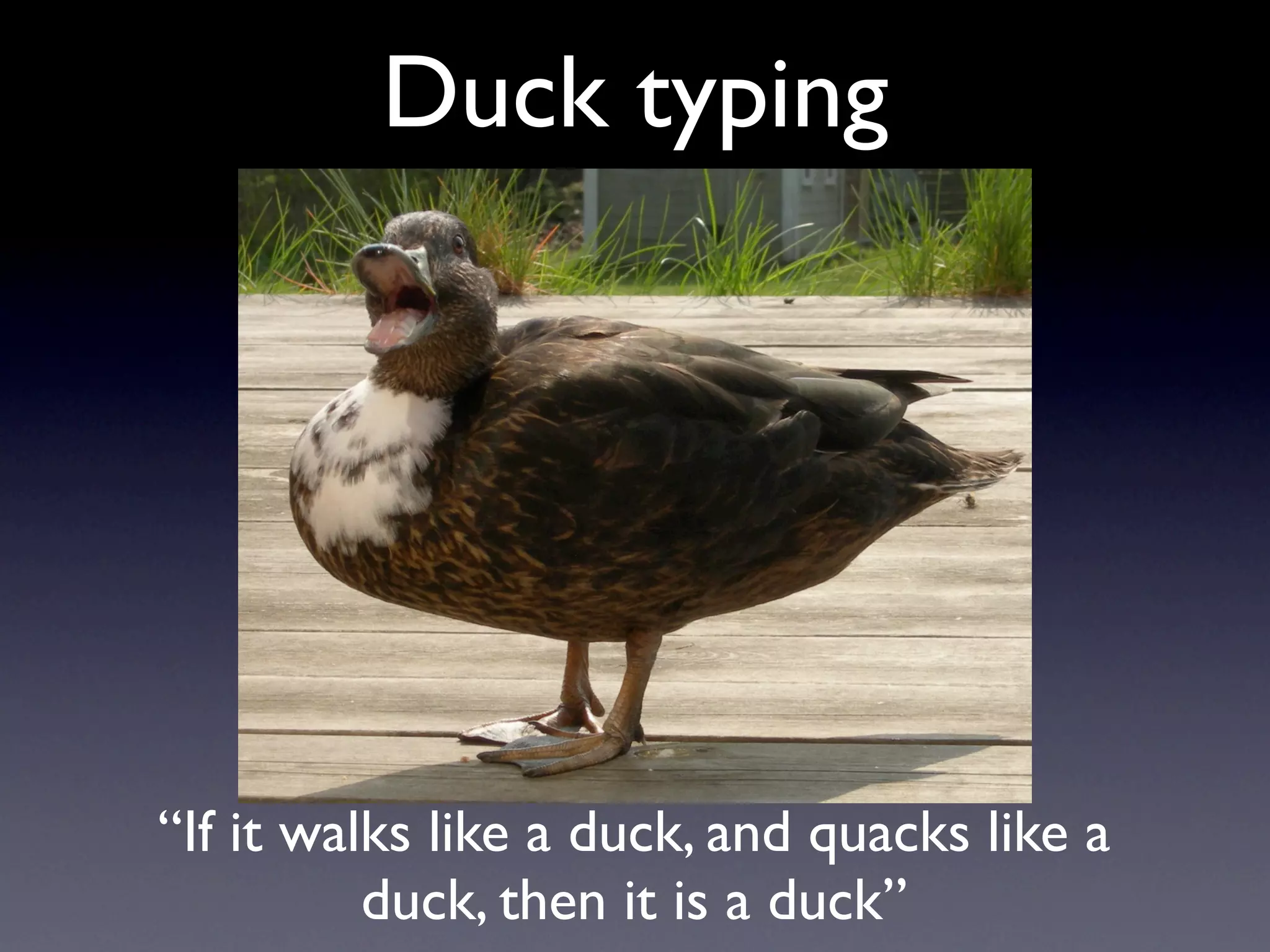 Duck typing




“If it walks like a duck, and quacks like a
          duck, then it is a duck”
 