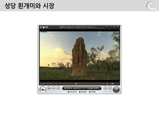 성당 흰개미와 시장
 