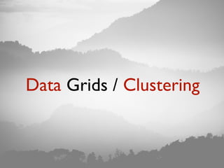 Data Grids / Clustering
 