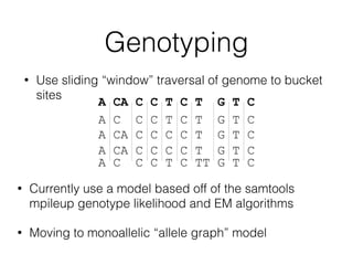 Genotyping
• Use sliding “window” traversal of genome to bucket
sites
• Currently use a model based off of the samtools
mp...