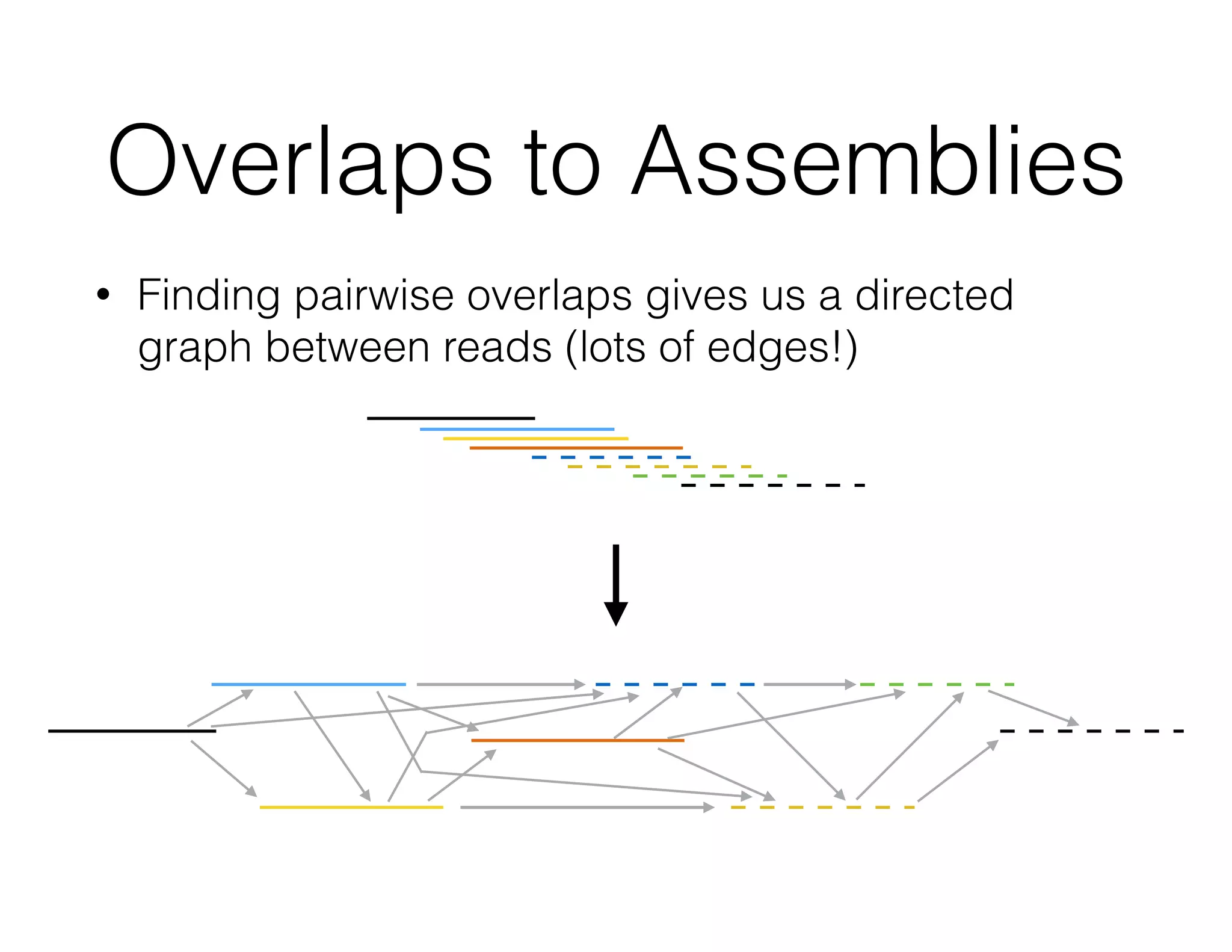 Overlaps to Assemblies 
• Finding pairwise overlaps gives us a directed 
graph between reads (lots of edges!) 
 