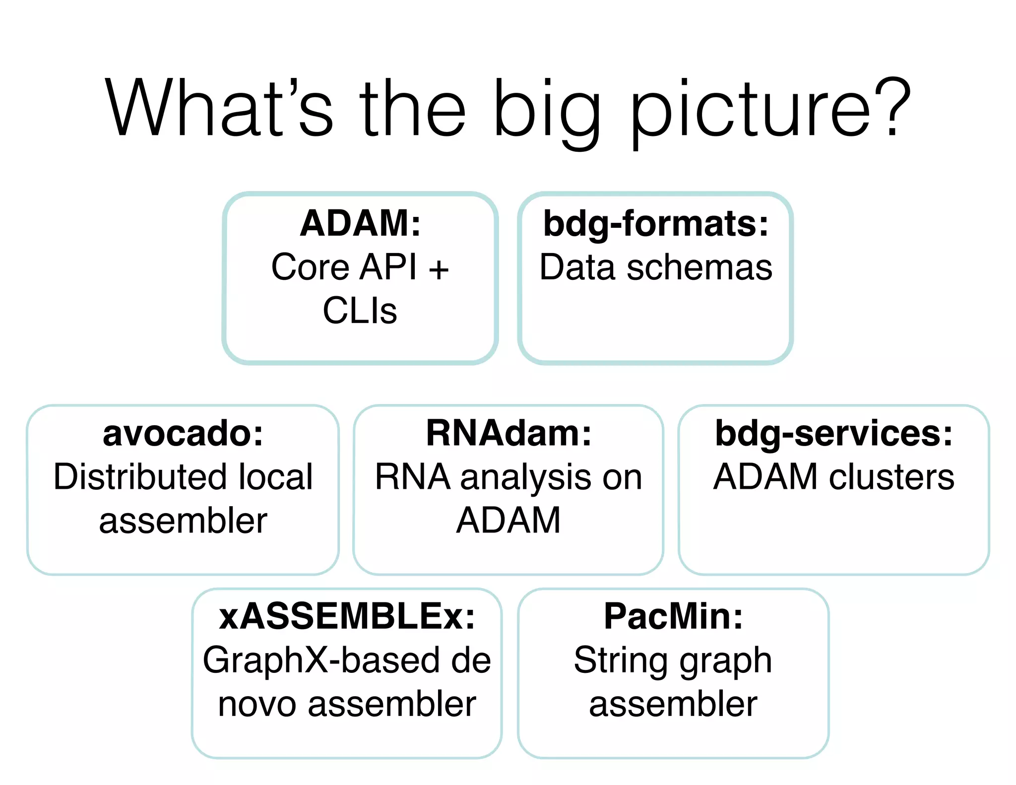 What’s the big picture? 
ADAM:! 
Core API + 
CLIs 
bdg-formats:! 
Data schemas 
RNAdam:! 
RNA analysis on 
ADAM 
avocado:! 
Distributed local 
assembler 
xASSEMBLEx:! 
GraphX-based de 
novo assembler 
bdg-services:! 
ADAM clusters 
PacMin:! 
String graph 
assembler 
 