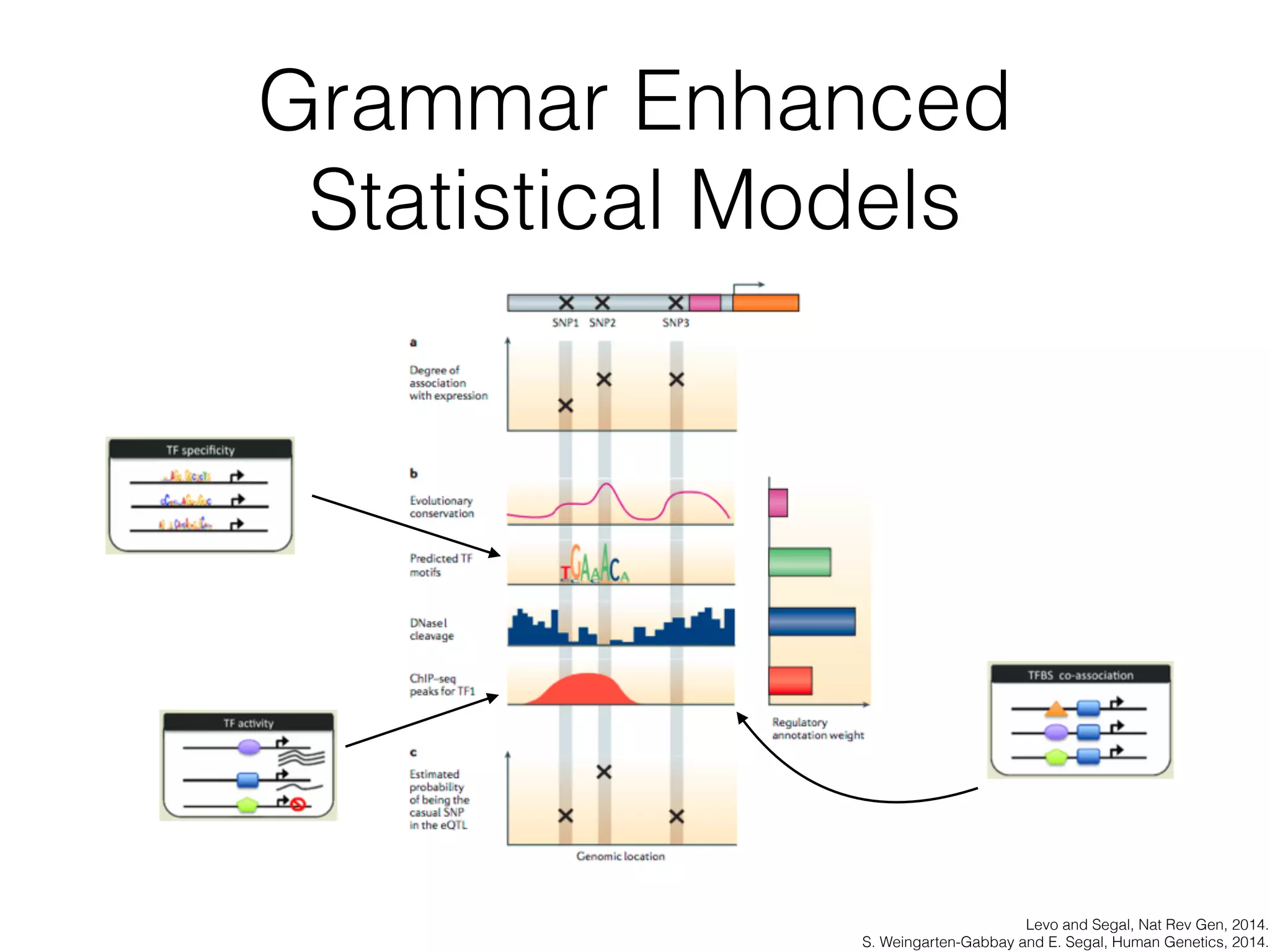 Making Sense of Variation
• Variation in the genome can affect biology in
several ways:
• A variant can modify or break a protein
• A variant can modify how much of a protein is
created
• The subset of your genome that encodes proteins
is the exome. This is ~1% of your genome!
 