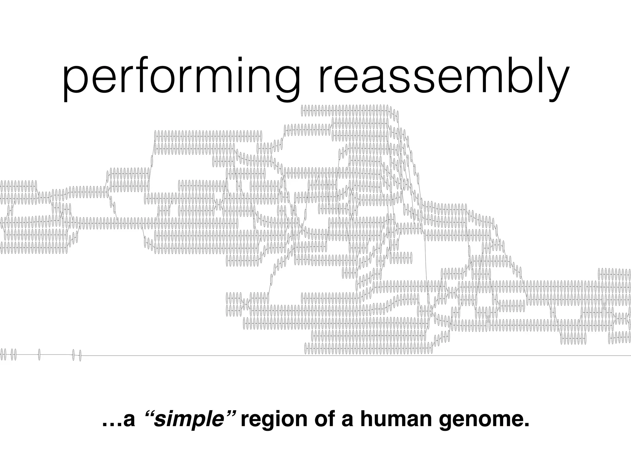 performing reassembly
CACGGACGGCCCGCCAGTC
ACGGACGGCCCGCCAGTCA
CGGACGGCCCGCCAGTCATGAGTGGGGTCTCCAGTCAT
AGTGGGGTCTCCAGTCATT
GTGGGGTCTCCAGTCATTA
AAATGTGTAATTTCATGAG
AATGTGTAATTTCATGAGT
ATGTGTAATTTCATGAGTG
ACATCAGAAAACTGAGAAT
CATCAGAAAACTGAGAATC
ATCAGAAAACTGAGAATCA
AAAGTCCCTCCCCCTAAGG
AAGTCCCTCCCCCTAAGGC
AGTCCCTCCCCCTAAGGCT
CCCGCTGACAGGCCCCCAG
CCGCTGACAGGCCCCCAGT
CGCTGACAGGCCCCCAGTC
GCCTAGGAGAAAGCAACAT
CCTAGGAGAAAGCAACATG
CTAGGAGAAAGCAACATGA
ATTCAAGCTCCAAGAAACA
TTCAAGCTCCAAGAAACAA
TCAAGCTCCAAGAAACAAA
GCCTAGGAGATAGCAACAT
CCTAGGAGATAGCAACATG
CTAGGAGATAGCAACATGA
GTGGCTATCCCCCTGAGGG
TGGCTATCCCCCTGAGGGG
GGCTATCCCCCTGAGGGGC
AATTGTAAGAACTGCCCTC
ATTGTAAGAACTGCCCTCC
TTGTAAGAACTGCCCTCCC
GTGTATATTGGTGGCTATC
TGTATATTGGTGGCTATCC
GTATATTGGTGGCTATCCC
GTAATTGTAAGAACTGCCC
TAATTGTAAGAACTGCCCT
CCCCGTAAAGCTTTCACAC
CCCGTAAAGCTTTCACACT
CCGTAAAGCTTTCACACTT
ACTCCCGGGCCGCCAGTCA
CTCCCGGGCCGCCAGTCAT
TCCCGGGCCGCCAGTCATT
GCCTCAGTGTATATATGAG
CCTCAGTGTATATATGAGG
CTCAGTGTATATATGAGGC
ACTCATCAGAAAACTGAGA
CTCATCAGAAAACTGAGAA
TCATCAGAAAACTGAGAAT
GTCTTTACTGGTGCTCTTC
TCTTTACTGGTGCTCTTCC
CTTTACTGGTGCTCTTCCC
TCCCCCTGACGGCCCGCCA
CCCCCTGACGGCCCGCCAG
CCCCTGACGGCCCGCCAGT
TTTACTGGTGCTCTTCCCA
TTACTGGTGCTCTTCCCAC
TACTGGTGCTCTTCCCACT
GAAAAATCATCAGAAAACT
AAAAATCATCAGAAAACTAAAAAATCATCAGAAAACTG
AAAATCATCAGAAAACTAAAAAATCATCAGAAAACTGA
AGACAAACCCTTGAAAAAA
GACAAACCCTTGAAAAAAA
ACAAACCCTTGAAAAAAAG
CTACCCCACTCCCGGGCCG
TACCCCACTCCCGGGCCGC
ACCCCACTCCCGGGCCGCC
NNTCAGAAAACTGAGAATC
NTCAGAAAACTGAGAATCA
TCAGAAAACTGAGAATCAA
AGTTATACTTTGAAAAATC
GTTATACTTTGAAAAATCA
TTATACTTTGAAAAATCAT
ACACTTGCCTCAGTGTAAA
CACTTGCCTCAGTGTAAAT
ACTTGCCTCAGTGTAAATA
CCCCCAGTCATAAAATTCA
CCCCAGTCATAAAATTCAA
CCCAGTCATAAAATTCAAG
TATCCCACTGACAGGCCGC
ATCCCACTGACAGGCCGCC
TCCCACTGACAGGCCGCCA
GAAAGTTCCTCCCCCTAAA
AAAGTTCCTCCCCCTAAAG
AAGTTCCTCCCCCTAAAGC
CAGAAAACTAAGAATCAAG
AGAAAACTAAGAATCAAGG
GAAAACTAAGAATCAAGGA
TGACAGGCCCCCAGTCATT
GACAGGCCCCCAGTCATTA
ACAGGCCCCCAGTCATTAA
GGCATTAAATTCAAGCTCC
GCATTAAATTCAAGCTCCA
CATTAAATTCAAGCTCCAA
AGCTTTCACTCTTGCCTCA
GCTTTCACTCTTGCCTCAG
CTTTCACTCTTGCCTCAGT
AAAAGCCAGCCTAGGAGAA
AAAGCCAGCCTAGGAGAAA
AAGCCAGCCTAGGAGAAAG
AAGGGACAAAGCAGTAAAA
AGGGACAAAGCAGTAAAAT
GGGACAAAGCAGTAAAATG
ACTCTTGCCTCAGTGTATA
CTCTTGCCTCAGTGTATAT
TCTTGCCTCAGTGTATATA
CCTCGGAGAAAGCAACATG
CTCGGAGAAAGCAACATGA
TCGGAGAAAGCAACATGAT
GCTTTCACACTTGCCTCAG
CTTTCACACTTGCCTCAGT
TTTCACACTTGCCTCAGTG
CCGGACCCCCAGTCATAAA
CGGACCCCCAGTCATAAAA
GGACCCCCAGTCATAAAAT
TTTGCCCTAAAGATTTCAC
TTGCCCTAAAGATTTCACA
TGCCCTAAAGATTTCACAC
CAAGGGACAAAGCAGTAAA
GCCAGTTATATTTTGAAAA
CCAGTTATATTTTGAAAAA
CAGTTATATTTTGAAAAAT
ATACTTTGAAAAATCATCA
TACTTTGAAAAATCATCAG
ACTTTGAAAAATCATCAGA
AAAATGTGTAATTTCATGA
CCACTCCCGGGCCGCCAGT
CACTCCCGGGCCGCCAGTC
TAGAAAGTTCCTTCCCCTA
AGAAAGTTCCTTCCCCTAA
GAAAGTTCCTTCCCCTAAA
AGGCTATACCACTGACGGG
GGCTATACCACTGACGGGC
GCTATACCACTGACGGGCC
ATGCAAGCTCCAAGAGACA
TGCAAGCTCCAAGAGACAA
GCAAGCTCCAAGAGACAAA
CATTAAATTCAACCACCAA
ATTAAATTCAACCACCAAG
TTAAATTCAACCACCAAGA
ATCAAGGATAGACTTTCTA
TCAAGGATAGACTTTCTAG
CAAGGATAGACTTTCTAGA
TTCAACCCTGGCCTCAGTG
TCAACCCTGGCCTCAGTGT
CAACCCTGGCCTCAGTGTA
TGAAAAATCATCAGAAAAC
CCCACTCCCGGGCCGCCAG
CACACTTGCCTAGGTGAAT
ACACTTGCCTAGGTGAATA
CACTTGCCTAGGTGAATAT
GTATATATGGGGCTATACC
TATATATGGGGCTATACCA
ATATATGGGGCTATACCAC
CCTTTGACAGGCCGCCAGT
CTTTGACAGGCCGCCAGTC
TTTGACAGGCCGCCAGTCA
AGCTTCCACACTTGCCTCA
GCTTCCACACTTGCCTCAG
CTTCCACACTTGCCTCAGT
TCATGAGTGGGGTCTCCAG
CATGAGTGGGGTCTCCAGT
ATGAGTGGGGTCTCCAGTC
CTTTGAAAAATCATCAGAA
CCCCCTAAAGCTTCAACCC
CCCCTAAAGCTTCAACCCT
CCCTAAAGCTTCAACCCTG
CAGGCATTAAATTCAAGCT
AGGCATTAAATTCAAGCTC
AAATGTGATTTGCCCAGGA
AATGTGATTTGCCCAGGAG
ATGTGATTTGCCCAGGAGG
AGGGGCCGCCAGTCATTAA
GGGGCCGCCAGTCATTAAA
GGGCCGCCAGTCATTAAAT
CCACTTCCCTCAGTGTATA
CACTTCCCTCAGTGTATAT
ACTTCCCTCAGTGTATATA
GTGGCTATCCCACTGACGG
TGGCTATCCCACTGACGGG
GGCTATCCCACTGACGGGC
AGCCCCAAGAGACAAACCC
GCCCCAAGAGACAAACCCT
CCCCAAGAGACAAACCCTT
CTAGGAGAAAGAAACATGA
TAGGAGAAAGAAACATGAT
AGGAGAAAGAAACATGATT
TTTTGGAAAAAAAGGCAGC
TTTGGAAAAAAAGGCAGCC
TTGGAAAAAAAGGCAGCCT
TTCCTCCCCCTAAAGCTTT
TCCTCCCCCTAAAGCTTTC
CCTCCCCCTAAAGCTTTCA
AGAAACAAACTCTTGAAAA
GAAACAAACTCTTGAAAAA
AAACAAACTCTTGAAAAAA
ACTGGTGCTCTTCCCACTT
CATTAAATGCAAGCTCCAA
ATTAAATGCAAGCTCCAAG
TTAAATGCAAGCTCCAAGA
CCCAAGAGACAAACCCTTG
GAAAATTTGTGCCTACCCC
AAAATTTGTGCCTACCCCA
AAATTTGTGCCTACCCCAC
AAGAATCAAGGATAGAATT
AGAATCAAGGATAGAATTT
GAATCAAGGATAGAATTTC
ACCACCGACGGCCCGCCAG
CCACCGACGGCCCGCCAGG
CACCGACGGCCCGCCAGGC
CACACTTGCCTCGGTGTAT
ACACTTGCCTCGGTGTATA
CACTTGCCTCGGTGTATAT
GAGGCTATACCACTGACGG
AAAGAGACAAACTCTTGAA
AAGAGACAAACTCTTGAAA
AGAGACAAACTCTTGAAAA
GGCAGCCTAGGAGAAAGCA
GCAGCCTAGGAGAAAGCAA
CAGCCTAGGAGAAAGCAAC
AGTGTATATATGTGGCTAT
GTGTATATATGTGGCTATCGTGTATATATGTGGCTATA
TGTATATATGTGGCTATCCTGTATATATGTGGCTATAC
TCTAGAAAGTACCTTCCCC
CTAGAAAGTACCTTCCCCT
TAGAAAGTACCTTCCCCTA
TATAGGTGGGTATCCCGCT
ATAGGTGGGTATCCCGCTG
TAGGTGGGTATCCCGCTGA
TTTCCCACTTCCCTCAGTG
TTCCCACTTCCCTCAGTGT
TCCCACTTCCCTCAGTGTA
GGATAGAAGTTCTAGAAAG
GATAGAAGTTCTAGAAAGT
ATAGAAGTTCTAGAAAGTT
CAAAGCAGTAAAATGTGTA
AAAGCAGTAAAATGTGTAA
AAGCAGTAAAATGTGTAAT
TAAAATGTGTAATTTCATG
GCCTAGGTGAATATAGGTG
CCTAGGTGAATATAGGTGG
CTAGGTGAATATAGGTGGG
GCCTGTTATATTTTGAAAA
CCTGTTATATTTTGAAAAACCTGTTATATTTTGAAAAC
CTGTTATATTTTGAAAAATCTGTTATATTTTGAAAAAACTGTTATATTTTGAAAACT
TTGACAGGCCGCCAGTCAT
TGACAGGCCGCCAGTCATT
GACAGGCCGCCAGTCATTA
TAGAATTTCTAGAAATTTC
AGAATTTCTAGAAATTTCC
GAATTTCTAGAAATTTCCT
AGGAGAAAGCAGCATGATT
GGAGAAAGCAGCATGATTA
GAGAAAGCAGCATGATTAT
GGCCCGCCAGTCATTAAAT
GCCCGCCAGTCATTAAATT
CCCGCCAGTCATTAAATTC
TGTAAGAACTGCCCTCCCC
ATGTGCCTATACCACGGAC
TGTGCCTATACCACGGACG
GTGCCTATACCACGGACGG
CCACCAAGAGACAAACTCT
CACCAAGAGACAAACTCTT
ACCAAGAGACAAACTCTTG
CAGGCCGCCAGTCATTAAA
AGGCCGCCAGTCATTAAAT
GGCCGCCAGTCATTAAATT
TAAAGATTTCACACTTGTG
AAAGATTTCACACTTGTGT
AAGATTTCACACTTGTGTC
CTTTCCCACTTCCCTCAGT
TTNTNANAAATNNTCAGAA
TNTNANAAATNNTCAGAAA
NTNANAAATNNTCAGAAAA
CCTAAAGATTTCACACTTG
CTAAAGATTTCACACTTGT
AAAGAAACATGATTTTTCA
TAAATTCAACCACCAAGAG
AAATTCAACCACCAAGAGA
TGGCTATTCCTTTGACAGG
GGCTATTCCTTTGACAGGC
GCTATTCCTTTGACAGGCC
CCTTCCCCTAAAGCTTTCA
CTTCCCCTAAAGCTTTCAC
TTCCCCTAAAGCTTTCACTTTCCCCTAAAGCTTTCACA
AAGCTTTCACTCTTGCCTC
TGCTCTTCCCACTTCCGGA
GCTCTTCCCACTTCCGGAC
CTCTTCCCACTTCCGGACC
CCCCTGACAGGCCGCCAGT
CCCTGACAGGCCGCCAGTC
CCTGACAGGCCGCCAGTCA
TATATTTTGAAAAAACATC
ATATTTTGAAAAAACATCA
TATTTTGAAAAAACATCAG
ACTGGCCTCAGTGTATATA
CTGGCCTCAGTGTATATAT
TGGCCTCAGTGTATATATG
ACAGGCCGCCAGTCATTAA
CTAGAAATTTCCTTCCCCT
TAGAAATTTCCTTCCCCTA
AGAAATTTCCTTCCCCTAA
CTTTCACACTGGCCTCAGT
TTTCACACTGGCCTCAGTG
TTCACACTGGCCTCAGTGT
CTCCCCCTAAAGCTTTCAC
CCCACTGACAGGCCGCCAG
CCACTGACAGGCCGCCAGT
GCTGACAGGCCCCCAGTCA
CTGACAGGCCCCCAGTCAT
AACTCATCAGAAAACTGAG
CCCTAAAGATTTCACACTT
TCACACTGGCCTCAGTGTA
NTTTCTGAATGTTTCTTAG
AGAAAGTCCCTCCCCCTAA
GAAAGTCCCTCCCCCTAAG
CAGTCATTAAATTCAAACT
AGTCATTAAATTCAAACTC
GTCATTAAATTCAAACTCC
ATGTGGCTATACCACTTAC
TGTGGCTATACCACTTACG
GTGGCTATACCACTTACGG
GGGCGTCCAGTCATTAAAT
GGCGTCCAGTCATTAAATT
GCGTCCAGTCATTAAATTC
ACGGCCCGCCAGTCATTAA
CGGCCCGCCAGTCATTAAA
CTCCAAGAGACAAACCCTT
TCCAAGAGACAAACCCTTG
CCAAGAGACAAACCCTTGA
CTATTCCTTTGACAGGCCG
CTCCCCGTAAAGCTTTCAC
TCCCCGTAAAGCTTTCACA
CAAGCTCCAAGAGACAAAC
CTCCCCCTAAGGCTTTCAC
TCCCCCTAAGGCTTTCACA
CCCCCTAAGGCTTTCACAC
CTAGAAAGTTCCTTCCCCT
CAATATATGTGACTACACC
AATATATGTGACTACACCA
ATATATGTGACTACACCAC
ATTAAATTCAAGCTCCAAG
TTAAATTCAAGCTCCAAGA
TAAATTCAAGCTCCAAGAGTAAATTCAAGCTCCAAGAATAAATTCAAACTCCAAGAG
AAATTCAAACTCCAAGAGA
AATTCAAACTCCAAGAGAC
GTGGCTATACCACTGACAG
TGGCTATACCACTGACAGG
GGCTATACCACTGACAGGC
TGTGATTTGCCCAGGAGGG
TCTAGAAAGTCCCTCCCCC
CTAGAAAGTCCCTCCCCCT
TAGAAAGTCCCTCCCCCTA
TCAAAGAGACAAACTCTTG
CAAAGAGACAAACTCTTGA
AGGCAGCCTAGGAGAAAGA
GGCAGCCTAGGAGAAAGAA
GCAGCCTAGGAGAAAGAAA
AAGCTCCAAGAGACAAACCAAGCTCCAAGAGACAAACT
AGCTCCAAGAGACAAACCCAGCTCCAAGAGACAAACTC
CATTAAATTCAAACTCCAA
ATTAAATTCAAACTCCAAG
TTAAATTCAAACTCCAAGA
AAACTGAGAATCAAGGATA
AACTGAGAATCAAGGATAG
ACTGAGAATCAAGGATAGA
TTGAAAAAAAGCCAGCCTA
TGAAAAAAAGCCAGCCTAG
GAAAAAAAGCCAGCCTAGG
CTTGCCTCAGTGTATATAT
TTGCCTCAGTGTATATATG
TGCCTCAGTGTATATATGTTGCCTCAGTGTATATATGATGCCTCAGTGTATATATGG
AAAGCAACCGGATTTTTCA
TAGAAAGTTCATTCCCCTA
AGAAAGTTCATTCCCCTAA
GAAAGTTCATTCCCCTAAA
TCAAGGATAGAATTTCTAG
CAAGGATAGAATTTCTAGA
AAGGATAGAATTTCTAGAA
GACAAGTTTTGGAAAAAAA
ACAAGTTTTGGAAAAAAAG
CAAGTTTTGGAAAAAAAGG
AATTTCTAGAAAGTTCCTT
ATTTCTAGAAAGTTCCTTC
TTTCTAGAAAGTTCCTTCC
TTCCCACTTCCGGACCCCC
TCCCACTTCCGGACCCCCA
CCCACTTCCGGACCCCCAG
ACTTGCCTCGGTGTATATA
CTTGCCTCGGTGTATATAT
AGCTTCAACCCTGGCCTCA
GCTTCAACCCTGGCCTCAG
CTTCAACCCTGGCCTCAGT
AACAAATGTGATTTGCCCA
ACAAATGTGATTTGCCCAG
CAAATGTGATTTGCCCAGG
AGACAAGTTTTGGAAAAAA
TTATATATGTGGCTATCCC
TATATATGTGGCTATCCCA
ATATATGTGGCTATCCCAC
TCAAGCTCCAAGAGACAAA
TCCGAGGAGAAAGCAACCG
CCGAGGAGAAAGCAACCGG
CGAGGAGAAAGCAACCGGA
ATGTGGGTATACCACTGAC
TGTGGGTATACCACTGACA
GTGGGTATACCACTGACAG
ATGAGGCTATACCACTGAC
TGAGGCTATACCACTGACG
ACACTTGCCACAGTGAAAA
CACTTGCCACAGTGAAAAT
ACTTGCCACAGTGAAAATT
TCTTGAAAAAAAGGCAGCC
CTTGAAAAAAAGGCAGCCT
TTGAAAAAAAGGCAGCCTATTGAAAAAAAGGCAGCCTC
GGCCTCAGTGTATATATGT
GCCTCAGTGTATATATGTG
CTGAGGGGCCGCCAGTCAT
TGAGGGGCCGCCAGTCATT
GAGGGGCCGCCAGTCATTA
AATTTCCTTCCCCTAAACC
ATTTCCTTCCCCTAAACCT
TTTCCTTCCCCTAAACCTT
CAAGAGACAAACCCTTGAA
TGTATATATGAGGCTATAC
GTATATATGAGGCTATACC
TATATATGAGGCTATACCA
TATTGGTGGCTATCCCCCT
ATTGGTGGCTATCCCCCTG
TTGGTGGCTATCCCCCTGA
TAAAGCTTTCCCACTTCCC
AAAGCTTTCCCACTTCCCT
AAGCTTTCCCACTTCCCTC
CCAAGAAACAAACTCTTGA
CAAGAAACAAACTCTTGAA
AAGAAACAAACTCTTGAAA
TCCCGCTGACAGGCCCCCA
TATGAGGCTATACCACTGA
AGAAAGCAGCATGATTATT
TTCCACACTTGCCTCAGTG
CAAGCTCAAAGAGACAAAC
AAGCTCAAAGAGACAAACT
AGCTCAAAGAGACAAACTC
GTATATATGTGGCTATACC
TATATATGTGGCTATACCA
ATATATGTGGCTATACCAC
TTCTTTGCCCTAAAGATTT
TCTTTGCCCTAAAGATTTC
CTTTGCCCTAAAGATTTCA
AAAGTTCCTTCCCCTAAAG
AAGTTCCTTCCCCTAAAGC
AGTTCCTTCCCCTAAAGCT
ATATGTGCCTATACCACGG
TATGTGCCTATACCACGGA
TNNTCAGAAAACTGAGAAT
TATATATGTGGGTATACCA
ATATATGTGGGTATACCAC
TATATGTGGGTATACCACT
CACTGACGGGCCGCCAGTC
ACTGACGGGCCGCCAGTCAACTGACGGGCCGCCAGTCC
CTGACGGGCCGCCAGTCATCTGACGGGCCGCCAGTCCT
AGTTCCTCCCCCTAAAGCT
GTTCCTCCCCCTAAAGCTT
CCACACTTGCCTCAGTGTA
CACACTTGCCTCAGTGTAA
AGGTGGGTATCCCGCTGAC
CCACTTCCGGACCCCCAGT
CACTTCCGGACCCCCAGTC
CCCTTGCCTCAGTGTATAT
CCTTGCCTCAGTGTATATA
AAAAAAAGGCAGCCTCGGA
AAAAAAGGCAGCCTCGGAG
AAAAAGGCAGCCTCGGAGA
TAAAGCTTTCACTCTTGCC
AAAGCTTTCACTCTTGCCT
CTAAAGCTTCAACCCTGGC
TAAAGCTTCAACCCTGGCC
AAAGCTTCAACCCTGGCCT
GAGAAAGCAACATGATTTT
AGAAAGCAACATGATTTTT
GAAAGCAACATGATTTTTC
GTGGCTATCCCCCTGACGG
TGGCTATCCCCCTGACGGC
GGCTATCCCCCTGACGGCC
GTAAAGCTTTCACACTTGC
TAAAGCTTTCACACTTGCC
AAAGCTTTCACACTTGCCT
TTCTAGAAAGTTCTTTGCC
TCTAGAAAGTTCTTTGCCC
CTAGAAAGTTCTTTGCCCT
ACGGCCCGCCAGGCATTAA
CGGCCCGCCAGGCATTAAA
GGCCCGCCAGGCATTAAAT
CAGTGTATATATGAGGCTA
AGTGTATATATGAGGCTAT
GTGTATATATGAGGCTATA
ATATGTGGGTATACCACTG
TATGTGGGTATACCACTGA
ATTCAACCACCAAGAGACA
TTCAACCACCAAGAGACAA
TCAACCACCAAGAGACAAA
TGAAAAAAAGGCAGCCTCG
GAAAAAAAGGCAGCCTCGG
GCTCCAAGAGACAAACTCT
CTCCAAGAGACAAACTCTT
CCCTAAAGCTTCCACACTT
CCTAAAGCTTCCACACTTG
CTAAAGCTTCCACACTTGC
AGCTTCCACACTTGCCTAG
GCTTCCACACTTGCCTAGG
CTTCCACACTTGCCTAGGT
CACTGGCCTCAGTGTATAT
ATTTCATGAGTGGGGTCTC
TTTCATGAGTGGGGTCTCC
TTCATGAGTGGGGTCTCCA
AGGATAGAATTTCTAGAAA
ACTCAAGGGACAAAGCAGT
CTCAAGGGACAAAGCAGTA
TCAAGGGACAAAGCAGTAA
CCTGAGGGGCCGCCAGTCA
AAAAAAAGCCAGCCTAGGA
GGGGCTATACCACTGACAG
GGGCTATACCACTGACAGG
AAATTTCCTTCCCCTAAAC
GTAAAATGTGTAATTTCAT
AGATTTCACACTTGTGTCA
TCAAGCTCCAAGAGACAAG
CAAGCTCCAAGAGACAAGT
AAGCTCCAAGAGACAAGTT
GCCAGTTATACTTTGAAAA
CCAGTTATACTTTGAAAAA
CAGTTATACTTTGAAAAAT
CCAAGAGACAAGTTTTGGA
CAAGAGACAAGTTTTGGAA
AAGAGACAAGTTTTGGAAA
AAGCTCCAAGAAACAAACT
AGCTCCAAGAAACAAACTC
GCTCCAAGAAACAAACTCT
TAGAATTTCTAGAAAGTCC
AGAATTTCTAGAAAGTCCC
GAATTTCTAGAAAGTCCCT
GTATACCACTGACAGGCCG
TATACCACTGACAGGCCGC
ATACCACTGACAGGCCGCC
ACCACGGACAGGCCGCCAG
CCACGGACAGGCCGCCAGT
CACGGACAGGCCGCCAGTC
AAAATTCAAGCTCCAAGAG
AAATTCAAGCTCCAAGAGA
AATTCAAGCTCCAAGAGAC
GTGTAATTTCATGAGTGGG
TGTAATTTCATGAGTGGGG
GTAATTTCATGAGTGGGGT
AACTGCCCTCCCCCTAAAG
ACTGCCCTCCCCCTAAAGC
CTGCCCTCCCCCTAAAGCT
CCCTTAAAGCTTCCACACT
CCTTAAAGCTTCCACACTT
CTTAAAGCTTCCACACTTG
AGCCTCGGAGAAAGCAACA
GCCTCGGAGAAAGCAACAT
AGAAAGTACCTTCCCCTAA
ACTTCCGGACCCCCAGTCA
CTTCCGGACCCCCAGTCAT
TTCCGGACCCCCAGTCATA
ATAGCAACATGATTTTTCA
GAGACAAACCCTTGAAAAA
TTTGTGCCTACCCCACTCC
TTGTGCCTACCCCACTCCC
TGTGCCTACCCCACTCCCG
AGTTCATTCCCCTAAAGCC
GTTCATTCCCCTAAAGCCT
TTCATTCCCCTAAAGCCTT
AAATCATCAGAAAACTAAG
AATCATCAGAAAACTAAGA
ATCATCAGAAAACTAAGAA
TGGCTATACCACTTACGGG
AATTTGTGCCTACCCCACT
ATTTGTGCCTACCCCACTC
CCGCCAGGCATTAAATTCA
CGCCAGGCATTAAATTCAA
GCCAGGCATTAAATTCAAG
AGCTCCAAGAGACAAGTTT
GCTCCAAGAGACAAGTTTT
CTCCAAGAGACAAGTTTTG
TATTCCTTTGACAGGCCGC
ATTCCTTTGACAGGCCGCC
CAGTGTATATTGGTGGCTA
AGTGTATATTGGTGGCTAT
TACCACTGACAGGCCGCCA
ACCACTGACAGGCCGCCAG
ACGGGCCGCCAGTCATTAA
CGGGCCGCCAGTCATTAAA
GAAAAAAAGGCAGCCTAGG
AAAAAAAGGCAGCCTAGGAAAAAAAAGGCAGCCTAGGC
AAAAAAGGCAGCCTAGGAGAAAAAAGGCAGCCTAGGCG
CAGCCTCGGAGAAAGCAAC
TCAAACTCCAAGAGACAAA
CAAACTCCAAGAGACAAAC
AAACTCCAAGAGACAAACT
CTATCCCCCTGACGGCCCG
TATCCCCCTGACGGCCCGC
ATCCCCCTGACGGCCCGCC
GTGATTTGCCCAGGAGGGG
TGATTTGCCCAGGAGGGGG
GATTTGCCCAGGAGGGGGC
ACCTTTCACACTTGCCTCA
CCTTTCACACTTGCCTCAG
TCAGTGTATATATGAGGCT
CCAAGAGACAAACTCTTGA
AGTTATATTTTGAAAAATC
GTTATATTTTGAAAAATCA
TTATATTTTGAAAAATCAT
AAGCTTCAACCCTGGCCTC
GGACGGCCCGCCAGTCATT
GACGGCCCGCCAGTCATTA
AAGGCAGCCTCGGAGAAAG
AGGCAGCCTCGGAGAAAGC
GGCAGCCTCGGAGAAAGCA
CCACAGTGAAAATTTGTGC
CACAGTGAAAATTTGTGCC
ACAGTGAAAATTTGTGCCT
GAAAGTACCTTCCCCTAAA
AAAGTACCTTCCCCTAAAG
GTTCCTTCCCCTAAAGCTT
TTCCTTCCCCTAAAGCTTT
ACTTGCCTAGGTGAATATA
TCCTTCCCCTAAAGCTTTC
GAAGATAGACTCAAGGGAC
AAGATAGACTCAAGGGACA
AGATAGACTCAAGGGACAA
AATNNTCAGAAAACTGAGA
ATNNTCAGAAAACTGAGAA
TTCACTCTTGCCTCAGTGT
TCACTCTTGCCTCAGTGTA
CACTCTTGCCTCAGTGTAT
AGGTGGCTATTCCTTTGAC
GGTGGCTATTCCTTTGACA
GTGGCTATTCCTTTGACAG
AAGGATAGACTTTCTAGAA
GGTGGGTATCCCGCTGACA
GTGGGTATCCCGCTGACAG
AAGTTTTGGAAAAAAAGGC
AGTTTTGGAAAAAAAGGCA
GTTTTGGAAAAAAAGGCAG
TTGCCTAGGTGAATATAGG
TGCCTAGGTGAATATAGGT
NNNNNNANATTNTNANAAA
NNNNNANATTNTNANAAAT
NNNNANATTNTNANAAATN
TCAGTGTATATATGGGGCT
CAGTGTATATATGGGGCTA
AGTGTATATATGGGGCTAT
AGGATAGACTTTCTAGAAA
GGATAGACTTTCTAGAAAG
TCCCCCTAAAGCTTTCACA
CCCCCTAAAGCTTTCACAC
CCCCTAAAGCTTTCACACT
GCGCGAACCCACGGACAGG
CGCGAACCCACGGACAGGC
GCGAACCCACGGACAGGCC
TGGGTATACCACTGACAGG
GGGTATACCACTGACAGGC
TGCCTATACCACGGACGGC
GCCTATACCACGGACGGCC
CAGAAAACTGAGAATCAAG
GTGCCTACCCCACTCCCGG
ATTCAAACTCCAAGAGACA
TTCAAACTCCAAGAGACAA
TGGAAAAAAAGGCAGCCTA
GGAAAAAAAGGCAGCCTAG
TCATTAAATTCAAGCTCCA
TCCGGACCCCCAGTCATAA
GCTTTCACACTTGCCTCGG
CTTTCACACTTGCCTCGGT
TTTCACACTTGCCTCGGTG
CTTCCCTCAGTGTATATAT
TTCCCTCAGTGTATATATG
TCCCTCAGTGTATATATGT
GTGAAAATTTGTGCCTACC
TGAAAATTTGTGCCTACCC
GGTATACCACTGACAGGCC
AATGCAAGCTCCAAGAGAC
AACCCTGGCCTCAGTGTAT
ACCCTGGCCTCAGTGTATA
CCCTGGCCTCAGTGTATAT
AGTACCTTCCCCTAAAGCT
GTACCTTCCCCTAAAGCTT
TACCTTCCCCTAAAGCTTT
ATACCACGGACGGCCCGCC
TACCACGGACGGCCCGCCA
ACCACGGACGGCCCGCCAG
CAGTGAAAATTTGTGCCTA
AGTGAAAATTTGTGCCTAC
CCCACTGACGGGCCGCCAG
CCACTGACGGGCCGCCAGT
GCCGCCAGTCATTAAATTC
CCGCCAGTCATTAAATTCA
CGCCAGTCATTAAATTCAA
ATTTTGAAAAAACATCAGA
TTTTGAAAAAACATCAGAA
TTTGAAAAAACATCAGAAA
GAAAAAACATCAGAAAACT
AAAAAACATCAGAAAACTG
AAAAACATCAGAAAACTGA
GTCATTAAATTCAACCACC
TCATTAAATTCAACCACCA
GGACAAAGCAGTAAAATGT
CTATACCACTTACGGGCCG
TATACCACTTACGGGCCGC
ATACCACTTACGGGCCGCC
TCATTAAATTCAAACTCCA
AATATAGGTGGGTATCCCG
ATATAGGTGGGTATCCCGC
CCTGGCCTCAGTGTATATA
GAGAAAGCAACCGGATTTT
AGAAAGCAACCGGATTTTT
GAAAGCAACCGGATTTTTC
ATAGATTTTCTAGAAAGTT
TAGATTTTCTAGAAAGTTC
AGATTTTCTAGAAAGTTCC
GATAGACTTTCTAGAAAGT
GTATATATGTGGGTATACC
CCTAAAGCTTCAACCCTGG
CCCCTAAAGCTTTCACAGT
CCCTAAAGCTTTCACAGTT
CCTAAAGCTTTCACAGTTG
TCCAAGAGACAAACTCTTG
TCCCCTAAAGCTTTCACTC
CCCCTAAAGCTTTCACTCT
CCCTAAAGCTTTCACTCTT
AGAATTTCTAGAAAGTTCA
GAATTTCTAGAAAGTTCAT
AATTTCTAGAAAGTTCATTATTTTCTAGAAAGTTCCTT
TTTTCTAGAAAGTTCCTTC
CTAAGAATCAAGGATAGAA
TAAGAATCAAGGATAGAATTAAGAATCAAGGATAGAAG
AAGAATCAAGGATAGAAGT
CTCAGTGTATATTGGTGGC
TCAGTGTATATTGGTGGCT
GCTATCCCCCTGACGGCCC
TAAAGCTTCCACACTTGCC
CTTGAAAAAAAGCCAGCCT
CAGTAAAATGTGTAATTTC
AGTAAAATGTGTAATTTCA
NNNANATTNTNANAAATNN
NNANATTNTNANAAATNNT
NANATTNTNANAAATNNTC
CCTAGGAGAAAGAAACATG
TCTTCCCACTTCCGGACCC
CTTCCCACTTCCGGACCCC
TNANAAATNNTCAGAAAAC
NANAAATNNTCAGAAAACT
ANAAATNNTCAGAAAACTG
GACGGGCCGCCAGTCCTTA
ACGGGCCGCCAGTCCTTAA
CGGGCCGCCAGTCCTTAAA
TGTAAATATGTGGCTATAC
GTAAATATGTGGCTATACC
TAAATATGTGGCTATACCA
CCCTGACGGCCCGCCAGTC
CCTGACGGCCCGCCAGTCA
CTGACGGCCCGCCAGTCAT
CTAAAGCTTTCACAGTTGA
TAAAGCTTTCACAGTTGAC
CTACACCACCGACGGCCCG
TACACCACCGACGGCCCGC
ACACCACCGACGGCCCGCC
TCATTCCCCTAAAGCCTTC
CATTCCCCTAAAGCCTTCA
ATTCCCCTAAAGCCTTCAC
TGTTATATTTTGAAAACTC
GTTATATTTTGAAAACTCA
ATTAAATTCAAGCCCCAAG
TTAAATTCAAGCCCCAAGA
TAAATTCAAGCCCCAAGAG
CCCCTAAAGCTTCCACACT
GGATAGATTTTCTAGAAAG
GATAGATTTTCTAGAAAGT
GCTATACCACTGACAGGCC
ACTCTTGAAAAAAAGGCAG
CTCTTGAAAAAAAGGCAGC
CACACTTGCCTCAGTGTAT
ACACTTGCCTCAGTGTATA
CACTTGCCTCAGTGTATAT
CAGTCTTTACTGGTGCTCT
AGTCTTTACTGGTGCTCTTATGTAACAAATGTGATTTG
TGTAACAAATGTGATTTGC
GTAACAAATGTGATTTGCC
AAAAGGCAGCCTCGGAGAA
AAAGGCAGCCTCGGAGAAA
GATAGAATTTCTAGAAAGT
ATAGAATTTCTAGAAAGTT
TAGAATTTCTAGAAAGTTC
AAGTACCTTCCCCTAAAGC
CAAGAGACAAACTCTTGAA
GCTATCCCCCTGAGGGGCC
CTATCCCCCTGAGGGGCCG
TCCAGTCATTAAATTCAAG
CCAGTCATTAAATTCAAGC
CAGTCATTAAATTCAAGCTCAGTCATTAAATTCAAGCC
CCCACGGACAGGCCGCCAG
AACTCTTGAAAAAAAGGCA
TTCCACACTTGCCTAGGTG
TCCACACTTGCCTAGGTGA
CCCCTAAGGCTTTCACACT
CCCTAAGGCTTTCACACTT
CTTGCCTCAGTGTAAATAT
TTGCCTCAGTGTAAATATG
TGCCTCAGTGTAAATATGT
CTCTTGAAAAAAAGCCAGC
TCTTGAAAAAAAGCCAGCC
AACCACCAAGAGACAAACT
ACCACCAAGAGACAAACTC
CTGAGAATCAAGGATAGAA
TGAGAATCAAGGATAGAAT
TGGCTATCCCCCTGACAGG
GGCTATCCCCCTGACAGGC
GCTATCCCCCTGACAGGCC
AGCTTTCACACTTGCCTCA
TATACTTTGAAAAATCATC
CTTGCCTAGGTGAATATAG
TTGAAAAAACATCAGAAAA
TGAAAAAACATCAGAAAAC
TACCACTTACGGGCCGCCA
GCCCTAAAGATTTCACACT
GCCGCCAGTCATTAAATGC
CCGCCAGTCATTAAATGCA
CGCCAGTCATTAAATGCAA
GAAATTTCCTTCCCCTAAA
TTGCCCAGGAGGGGGCGTC
TGCCCAGGAGGGGGCGTCC
GCCCAGGAGGGGGCGTCCA
AACAAACTCTTGAAAAAAA
ACAAACTCTTGAAAAAAAG
AAATCATCAGAAAACTGAG
TCCCCTAAAGCTTTCACACTCCCCTAAAGCTTTCACAG
CTGGTGCTCTTCCCACTTC
TGGTGCTCTTCCCACTTCC
TCCAAGAAACAAACTCTTG
AAGCTTCCACACTTGCCTA
AAAGCAACATGATTTTTCTAAAGCAACATGATTTTTCA
GATAGACTCAAGGGACAAA
TGTGTAATTTCATGAGTGG
GACGGGCCGCCAGTCATTA
AAGCTTTCACACTTGCCTC
AGCTTTCACACTTGCCTCG
GGGGGCGTCCAGTCATTAA
GGGGCGTCCAGTCATTAAA
GGAGATAGCAACATGATTT
GAGATAGCAACATGATTTT
AGATAGCAACATGATTTTT
TAGGAGAAAGCAGCATGAT
TGCCCTCCCCCTAAAGCTT
GCCCTCCCCCTAAAGCTTC
CCCTCCCCCTAAAGCTTCA
TGGGGTCTCCAGTCATTAA
GGGGTCTCCAGTCATTAAA
GGGTATCCCGCTGACAGGC
GGTATCCCGCTGACAGGCC
GTATCCCGCTGACAGGCCC
AAAGTTCTTTGCCCTAAAG
AAGTTCTTTGCCCTAAAGA
AGTTCTTTGCCCTAAAGAT
GTTCTAGAAAGTTCTTTGC
GCCCGCCAGGCATTAAATT
GCCTCAGTGTATATATGGG
CCTCAGTGTATATATGGGG
CTCAGTGTATATATGGGGC
ACCTTCCCCTAAAGCTTTC
AGCCAGCCTAGGAGAAAGC
GGCCGCCAGTCATTAAATG
CAGCCTAGGAGATAGCAAC
AGCCTAGGAGATAGCAACA
GAGGGGGCGTCCAGTCATT
AGGGGGCGTCCAGTCATTA
ATTTTGAAAACTCATCAGA
TTTTGAAAACTCATCAGAA
TTTGAAAACTCATCAGAAA
ATTTGCCCAGGAGGGGGCG
TTTGCCCAGGAGGGGGCGT
AAATTCAAGCTCCAAGAAA
AATTCAAGCTCCAAGAAAC
GGACAGGCCGCCAGTCATT
AACTCCAAGAGACAAACTC
ACTCCAAGAGACAAACTCT
GCTATCCCACTGACGGGCC
CTATCCCACTGACGGGCCG
TATCCCACTGACGGGCCGC
CAGGCCCCCAGTCATTAAA
CGTAAAGCTTTCACACTTG
TAATTTCATGAGTGGGGTC
AATTTCATGAGTGGGGTCT
GGGCCGCCAGTCCTTAAAT
ATGTGGCTATCCCACTGAC
TGTGGCTATCCCACTGACATGTGGCTATCCCACTGACG
GTGGCTATCCCACTGACAG
GCTATACCACTTACGGGCC
ACAAAGCAGTAAAATGTGT
TATATGTGGCTATACCACT
ATATGTGGCTATACCACTGATATGTGGCTATACCACTT
AAAGTTCATTCCCCTAAAG
ATCCCGCTGACAGGCCCCC
GTTCTTTGCCCTAAAGATT
CAGCCTAGGAGAAAGAAAC
AGAATCAAGGATAGAAGTT
TCCAAGAGACAAGTTTTGG
GTATATATGTGGCTATCCC
TATATATGTGGCTATCCCC
ATATATGTGGCTATCCCCC
TGACGGGCCGCCAGTCATT
CTTGCCACAGTGAAAATTT
TTGCCACAGTGAAAATTTG
TGCCACAGTGAAAATTTGT
CCCTCAGTGTATATATGTG
CCTCAGTGTATATATGTGG
AAAACTAAGAATCAAGGAT
AAACTAAGAATCAAGGATA
AACTAAGAATCAAGGATAG
GATAGCAACATGATTTTTC
GCCTCAGTGTAAATATGTG
CCTCAGTGTAAATATGTGG
CACTGACAGGCCGCCAGTC
ACTGACAGGCCGCCAGTCA
CTGACAGGCCGCCAGTCAT
CCCTGAGGGGCCGCCAGTC
CCTATACCACGGACGGCCC
CTATACCACGGACGGCCCG
ATGTGACTACACCACCGAC
TGTGACTACACCACCGACG
GTGACTACACCACCGACGG
TTCCTTTGACAGGCCGCCA
TCCTTTGACAGGCCGCCAG
AGAGACAAGTTTTGGAAAA
ANATTNTNANAAATNNTCA
AATCAAGGATAGAATTTCT
CCCACTTCCCTCAGTGTAT
TATCCCGCTGACAGGCCCC
TTAACACTTGCCACAGTGA
TAACACTTGCCACAGTGAA
AACACTTGCCACAGTGAAA
CTCCAGTCATTAAATTCAA
TATACCACGGACGGCCCGC
NNNNNNTTTCTGAATGTTT
NNNNNTTTCTGAATGTTTC
NNNNTTTCTGAATGTTTCT
GTCATTAAATTCAAGCTCA
TCATTAAATTCAAGCTCAA
CATTAAATTCAAGCTCAAACATAAAATTCAAGCTCCAA
ATAAAATTCAAGCTCCAAG
TAAAATTCAAGCTCCAAGA
CTATCCCCCTGACAGGCCG
TATCCCCCTGACAGGCCGC
CACTTACGGGCCGCCAGTC
ACTTACGGGCCGCCAGTCA
CTTACGGGCCGCCAGTCAT
TGTTATATTTTGAAAAATC
GAATCAAGGATAGACTTTC
AATCAAGGATAGACTTTCT
AGGAGAAAGCAACATGATT
GGAGAAAGCAACATGATTT
NAAATNNTCAGAAAACTGA
AAATNNTCAGAAAACTGAG
GGCTATACCACTTACGGGC
CATCAGAAAACTAAGAATC
ATCAGAAAACTAAGAATCA
TCAGAAAACTAAGAATCAA
TTCCTTCCCCTAAACCTTT
TCCTTCCCCTAAACCTTTC
CCTTCCCCTAAACCTTTCA
TGGCTATCCCACTGACAGG
AATTTCTAGAAATTTCCTT
ATATATGAGGCTATACCAC
CCCGGGCCGCCAGTCATTA
CCGGGCCGCCAGTCATTAA
GAATATAGGTGGGTATCCC
GCTTTAACACTTGCCACAG
CTTTAACACTTGCCACAGT
TTTAACACTTGCCACAGTG
GAAAACTGAGAATCAAGGA
AAAACTGAGAATCAAGGAT
CAGTCATTAAATTCAACCA
AGTCATTAAATTCAACCAC
CTCCAAGAAACAAACTCTT
AACCTTTCACACTTGCCTC
CGCAGCCTAGGAGATAGCA
GCAGCCTAGGAGATAGCAA
AAAACATCAGAAAACTGAG
AAACATCAGAAAACTGAGA
AACATCAGAAAACTGAGAA
CCAGTCATAAAATTCAAGC
TATATTGGTGGCTATCCCC
ATATTGGTGGCTATCCCCC
TCGGTGTATATATGTGGCT
CGGTGTATATATGTGGCTA
GGTGTATATATGTGGCTAT
TGTTATATTTTGAAAAAAC
AGAAAGTTCCTCCCCCTAA
GCTCAAAGAGACAAACTCT
AGCCTAGGAGAAAGCAACA
GACTACACCACCGACGGCC
ACTACACCACCGACGGCCC
TCCCACTGACGGGCCGCCA
AGTCATAAAATTCAAGCTC
GTCATAAAATTCAAGCTCC
TCATAAAATTCAAGCTCCA
TCCACACTTGCCTCAGTGT
ATTTTGAAAAATCATCAGA
TTTTGAAAAATCATCAGAA
TTTGAAAAATCATCAGAAA
TAGAAGTTCTAGAAAGTTC
AGAAGTTCTAGAAAGTTCT
GAAGTTCTAGAAAGTTCTT
ATGTGGCTATACCACTGAC
TGTGGCTATACCACTGACGTGTGGCTATACCACTGACA
GTGGCTATACCACTGACGG
AGTCATTAAATTCAAGCTC
GTCATTAAATTCAAGCTCC
CTAAAGCTTTCCCACTTCC
ATCCCACTGACGGGCCGCC
CCTCCCCCTAAGGCTTTCA
CGAACCCACGGACAGGCCG
GATTTTCTAGAAAGTTCCT
AGTGTATATATGTGGGTAT
GTGTATATATGTGGGTATA
TGTATATATGTGGGTATAC
AAATATGTGGCTATACCAC
NNNTTTCTGAATGTTTCTT
NNTTTCTGAATGTTTCTTA
TATGTGGCTATACCACTGATATGTGGCTATACCACTTA
CACCACCGACGGCCCGCCA
NATTNTNANAAATNNTCAG
GAGAATCAAGGATAGAATT
GGCTATCCCACTGACAGGC
GCTATCCCACTGACAGGCC
CTATCCCACTGACAGGCCG
TAGAAAGTTCCTCCCCCTA
CCTCCCCCTAAAGCTTCAA
CTCCCCCTAAAGCTTCAAC
TCCCCCTAAAGCTTCAACC
GGTGGCTATCCCCCTGAGG
CCACGGACGGCCCGCCAGT
TAGAAAGTTCTTTGCCCTA
AGAAAGTTCTTTGCCCTAA
GAAAGTTCTTTGCCCTAAA
ATTCAAGCCCCAAGAGACA
TTCAAGCCCCAAGAGACAA
TCAAGCCCCAAGAGACAAA
TCATTAAATTCAAGCCCCA
CATTAAATTCAAGCCCCAA
TATATGAGGCTATACCACT
ACTAAGAATCAAGGATAGA
CTAAGAATCAAGGATAGAC
TAAGAATCAAGGATAGACT
TGGTGGCTATCCCCCTGAG
AGTCATTAAATTCAAGCCC
GTCATTAAATTCAAGCCCC
CCAGGCATTAAATTCAAGC
AAGTTCATTCCCCTAAAGC
CCCTAAAGCTTTCACACTT
CCTAAAGCTTTCACACTTG
CTAAAGCTTTCACACTTGC
GTAAGAACTGCCCTCCCCC
AAACTCTTGAAAAAAAGGC
CCCTAAACCTTTCACACTT
CCTAAACCTTTCACACTTG
CTAAACCTTTCACACTTGC
TATCCCCCTGAGGGGCCGC
ATCCCCCTGAGGGGCCGCC
AAAAGGCAGCCTAGGCGAA
AAAGGCAGCCTAGGCGAAA
AAGGCAGCCTAGGCGAAAG
GCTCCAAGAGACAAACCCT
TTTCACTCTTGCCTCAGTG
TAAACCTTTCACACTTGCC
AAACCTTTCACACTTGCCT
TATATGTGGCTATCCCCCT
ATATGTGGCTATCCCCCTG
TATGTGGCTATCCCCCTGA
TTCCCCTAAACCTTTCACA
TCCCCTAAACCTTTCACAC
CCCCTAAACCTTTCACACT
CCACACTTGCCTAGGTGAA
AGACTCAAGGGACAAAGCA
GACTCAAGGGACAAAGCAG
GAGGAGAAAGCAACCGGAT
AGGAGAAAGCAACCGGATT
TATATTTTGAAAAATCATC
ATATTTTGAAAAATCATCA
TATTTTGAAAAATCATCAG
CCAGTCATTAAATTCAAAC
TTCTAGAAAGTTCCTTCCC
ACCACTGACGGGCCGCCAG
CCTCCCCGTAAAGCTTTCA
GAAAGAAACATGATTTTTC
ATTNTNANAAATNNTCAGA
CCCCCTAAAGCTTTCCCAC
CCCCTAAAGCTTTCCCACT
CCCTAAAGCTTTCCCACTT
AAGAATCAAGGATAGACTT
AGAATCAAGGATAGACTTT
GTCATTAAATGCAAGCTCC
TCATTAAATGCAAGCTCCA
TCAGTGTAAATATGTGGCT
CAGTGTAAATATGTGGCTA
AGTGTAAATATGTGGCTAT
CTATACCACTGACGGGCCG
TATACCACTGACGGGCCGC
GAGACAAGTTTTGGAAAAA
GGTGAATATAGGTGGGTAT
GTGAATATAGGTGGGTATC
TGAATATAGGTGGGTATCC
AACTCTTGAAAAAAAGCCA
ACTCTTGAAAAAAAGCCAG
TGCCTCGGTGTATATATGT
GCCTCGGTGTATATATGTG
CCTCGGTGTATATATGTGG
AATATGTGGCTATACCACT
AAAAAGGCAGCCTAGGAGA
GAATTTCTAGAAAGTTCCT
ACCCACGGACAGGCCGCCA
AATTTCTAGAAAGTCCCTC
ATTTCTAGAAAGTCCCTCC
CAAACTCTTGAAAAAAAGCCAAACTCTTGAAAAAAAGG
AGGCAGCCTAGGAGAAAGC
ATATGTGACTACACCACCG
TATGTGACTACACCACCGA
GTTATATTTTGAAAAAACA
ATTTCTAGAAAGTTCATTC
TTTCTAGAAAGTTCATTCC
TTCACACTTGCCTCGGTGT
AGCCTAGGAGAAAGAAACA
GCCTAGGAGAAAGAAACAT
GTGTAAATATGTGGCTATA
AGGCAGCCTAGGCGAAAGC
GGCAGCCTAGGCGAAAGCA
TCATCAGAAAACTAAGAAT
TAGGAGATAGCAACATGAT
AGGAGATAGCAACATGATT
ATATGGGGCTATACCACTG
TATGGGGCTATACCACTGA
ATGGGGCTATACCACTGAC
GACAAAGCAGTAAAATGTG
CTAGAAAGTTCATTCCCCTCTAGAAAGTTCCTCCCCCT
AGAGACAAACCCTTGAAAA
NNNNNNNTTTCTGAATGTT
GACGGCCCGCCAGGCATTA
GTCCAGTCATTAAATTCAA
AGGAGGGGGCGTCCAGTCA
GGAGGGGGCGTCCAGTCAT
TTATATTTTGAAAAAACAT
GGAGAAAGCAACCGGATTT
TGCCTACCCCACTCCCGGG
GCCTACCCCACTCCCGGGC
TGAAAACTCATCAGAAAAC
GAAAACTCATCAGAAAACT
AAAACTCATCAGAAAACTG
AGTCAATATATGTGACTAC
GTCAATATATGTGACTACA
TCAATATATGTGACTACAC
AAGTTCTAGAAAGTTCTTT
AGTTCTAGAAAGTTCTTTG
TTGCCTCGGTGTATATATG
AAACTCATCAGAAAACTGA
TGAAAAAAAGGCAGCCTAG
TAACAAATGTGATTTGCCC
ATCCCCCTGACAGGCCGCC
AAAGGCAGCCTAGGAGAAA
AAGGCAGCCTAGGAGAAAG
AAATTCAAGCTCAAAGAGA
AATTCAAGCTCAAAGAGAC
ATTCAAGCTCAAAGAGACA
TCCCACCAGTCATTAAATT
CCCACCAGTCATTAAATTC
CCACCAGTCATTAAATTCA
AGAATTTCTAGAAAGTTCC
GGAGAAAGAAACATGATTT
GAGAAAGAAACATGATTTT
TACCACGGACAGGCCGCCA
CAACCACCAAGAGACAAAC
AAAAAAGCCAGCCTAGGAG
AAATTCAAGCCCCAAGAGA
AATTCAAGCCCCAAGAGAC
GTCTCCAGTCATTAAATTC
TCTCCAGTCATTAAATTCA
CCTCAGTCAATATATGTGA
CTCAGTCAATATATGTGAC
TCAGTCAATATATGTGACT
AGAAAACTGAGAATCAAGG
ATTTCTAGAAATTTCCTTC
TTTCTAGAAATTTCCTTCC
TAAATGCAAGCTCCAAGAG
GAAAGCAGCATGATTATTC
TTTCTAGAAAGTCCCTCCC
CCCTCCCCCTAAGGCTTTC
GCTTTCCCACTTCCCTCAG
TGGGTATCCCGCTGACAGG
CACCAGTCATTAAATTCAA
ACCAGTCATTAAATTCAAC
TGACGGGCCGCCAGTCCTT
GTCCCTCCCCCTAAGGCTT
TCCCTCCCCCTAAGGCTTT
TCCCCTAAAGCTTCCACAC
CCTAAAGCTTTCCCACTTC
ATGTGGCTATCCCCCTGAC
TGTGGCTATCCCCCTGACATGTGGCTATCCCCCTGACG
GTGGCTATCCCCCTGACAG
AATTCAACCACCAAGAGAC
AAAGCAGCATGATTATTCA
TAAGAACTGCCCTCCCCCT
AAGAACTGCCCTCCCCCTA
GTGTATATATGGGGCTATA
GCTTTCACAGTTGACTCAG
CTTTCACAGTTGACTCAGT
TTTCACAGTTGACTCAGTG
AGCTTTCCCACTTCCCTCA
CCTAAAGCTTTCACTCTTG
CCCAGTCATTAAATTCAAG
CTAAAGCTTTCACTCTTGC
TAAGGCTTTCACACTTGCC
AAGGCTTTCACACTTGCCT
AGGCTTTCACACTTGCCTC
TTCTAGAAAGTCCCTCCCC
GGCCCCCAGTCATTAAATT
GCCCCCAGTCATTAAATTC
CCCCCAGTCATTAAATTCA
ACCACTTACGGGCCGCCAG
ATCAAGGATAGAATTTCTA
TTCTAGAAATTTCCTTCCC
TCTAGAAATTTCCTTCCCC
GAACTGCCCTCCCCCTAAA
CAGGAGGGGGCGTCCAGTC
CTCAGTGTAAATATGTGGC
GGCTTTCACACTTGCCTCA
GCCACAGTGAAAATTTGTG
AAATATGTGCCTATACCAC
AATATGTGCCTATACCACG
TTCAAGCTCCAAGAGACAA
CTAAGGCTTTCACACTTGC
TCCCCCTGACAGGCCGCCA
CCCCCTGACAGGCCGCCAG
TACCACTGACGGGCCGCCA
AATCATCAGAAAACTGAGA
GAGACAAACTCTTGAAAAA
CGACGGCCCGCCAGGCATT
ATATGAGGCTATACCACTG
CAAGCCCCAAGAGACAAAC
CCCCACTCCCGGGCCGCCA
ATATGTGGCTATCCCACTG
TATGTGGCTATCCCACTGA
AAATGCAAGCTCCAAGAGA
CTCAGTGTATATATGTGGGCTCAGTGTATATATGTGGC
AGGATAGAAGTTCTAGAAA
AAGAGACAAACCCTTGAAA
TTGAAAACTCATCAGAAAA
CAAGCTCCAAGAAACAAAC
TAGGAGAAAGCAACATGAT
TCCCCCTGAGGGGCCGCCA
CGGACAGGCCGCCAGTCAT
AGGCCCCCAGTCATTAAAT
CCTACCCCACTCCCGGGCC
CCAGTCATTAAATTCAACC
ATAGACTCAAGGGACAAAG
TAGACTCAAGGGACAAAGC
CTCGGTGTATATATGTGGC
TCAGTGTATATATGTGGGT
CAGTGTATATATGTGGGTA
TAGGTGGCTATTCCTTTGA
CCCCAGTCATTAAATTCAA
GTTTATATATGTGGCTATC
TTTATATATGTGGCTATCC
AGACAAACTCTTGAAAAAA
GACAAACTCTTGAAAAAAA
CACACTGGCCTCAGTGTAT
ACACTGGCCTCAGTGTATA
GCCAGTCATTAAATTCAAAGCCAGTCATTAAATTCAAG
TTAAAGCTTCCACACTTGC
ATTAAATTCAAGCTCAAAG
AAACTCTTGAAAAAAAGCC
TAGGTGAATATAGGTGGGT
CCGACGGCCCGCCAGGCAT
TGGGGCTATACCACTGACA
GCCAGTCATTAAATGCAAG
CCAGTCATTAAATGCAAGC
CAGTCATTAAATGCAAGCT
TTAAATTCAAGCTCAAAGA
TAAATTCAAGCTCAAAGAG
TTGAAAAATCATCAGAAAA
CGGAGAAAGCAACATGATT
CCCCTAAAGCCTTCACACT
CCCTAAAGCCTTCACACTT
CCTAAAGCCTTCACACTTG
AAAAGGCAGCCTAGGAGAA
AAAGCTTTCACAGTTGACT
AAGCTTTCACAGTTGACTC
AGCTTTCACAGTTGACTCA
TATATGTGGCTATCCCACTTATATGGGGCTATACCACTTATATGTGACTACACCACC
AGTCATTAAATGCAAGCTC
TCACACTTGCCTCGGTGTA
TCAAGCTCAAAGAGACAAA
CCTCAGTGTATATTGGTGG
AAAAAGCCAGCCTAGGAGA
CCACTTACGGGCCGCCAGT
CAGTCAATATATGTGACTA
CCCCCCAGTCATTAAATTC
AACCCACGGACAGGCCGCC
CTTCCCCTAAACCTTTCAC
CCAGTCTTTACTGGTGCTC
TTCACACTTGCCTCAGTGT
TCACACTTGCCTCAGTGTA
GTCCCACCAGTCATTAAAT
ATACCACTGACGGGCCGCC
AAGCCCCAAGAGACAAACC
CCCCCTGAGGGGCCGCCAG
CCCCTGAGGGGCCGCCAGT
GCAGCCTCGGAGAAAGCAA
TGACGGCCCGCCAGTCATT
AGCAGTAAAATGTGTAATT
TCTAGAAAGTTCCTCCCCC
AACCTTTCACACTGGCCTC
ACCTTTCACACTGGCCTCA
CCTTTCACACTGGCCTCAG
CTCAAAGAGACAAACTCTT
GCAGTAAAATGTGTAATTT
TTCCCCTAAAGCCTTCACA
TCCCCTAAAGCCTTCACAC
CCCAGGAGGGGGCGTCCAG
CCAGGAGGGGGCGTCCAGT
GTGCTCTTCCCACTTCCGG
CGTCCCACCAGTCATTAAA
GACCCCCAGTCATAAAATT
AGGTGAATATAGGTGGGTA
TGGCTATACCACTGACGGG
CTATACCACTGACAGGCCG
AGAAAGAAACATGATTTTT
GAATCAAGGATAGAAGTTC
AATCAAGGATAGAAGTTCT
ATTCAAGCTCCAAGAGACA
TTCTAGAAAGTTCATTCCC
TCTAGAAAGTTCATTCCCC
ACTTGCCTCAGTGTATATA
GGGTCTCCAGTCATTAAAT
GGTCTCCAGTCATTAAATT
CGTCCAGTCATTAAATTCA
TTATATTTTGAAAACTCAT
TATATTTTGAAAACTCATC
GATTTCACACTTGTGTCAT
ATTTCACACTTGTGTCATT
GGCGTCCCACCAGTCATTA
GCGTCCCACCAGTCATTAA
AAAGCTTCCACACTTGCCT
AAGCTTCCACACTTGCCTC
AGAACTGCCCTCCCCCTAA
ACCGACGGCCCGCCAGGCA
ATAGAATTTCTAGAAATTT
ATCATCAGAAAACTGAGAA
GAACCCACGGACAGGCCGC
TCCCTTAAAGCTTCCACAC
TATTTTGAAAACTCATCAG
TCAGTGTATATATGTGGCT
CAGTGTATATATGTGGCTA
TTACGGGCCGCCAGTCATT
GGATAGAATTTCTAGAAAT
GATAGAATTTCTAGAAATT
ATCAAGGATAGAAGTTCTA
TCAAGGATAGAAGTTCTAG
CAAGGATAGAAGTTCTAGA
AAAAAGGCAGCCTAGGCGA
TCTAGAAAGTTCCTTCCCC
ATATTTTGAAAACTCATCA
TGAGTGGGGTCTCCAGTCAACGGACAGGCCGCCAGTCA
CCCGCCAGGCATTAAATTC
TGTATATATGGGGCTATAC
ACCCCCAGTCATAAAATTC
TTCAAGCTCAAAGAGACAA
CCCCTTGCCTCAGTGTATA
GGATAGAATTTCTAGAAAG
CATGTAACAAATGTGATTT
GGTGCTCTTCCCACTTCCG
AAGGATAGAAGTTCTAGAA
CAGTCATAAAATTCAAGCT
NNNNNNNANATTNTNANAA
TGACTACACCACCGACGGC
TACGGGCCGCCAGTCATTA
CCCAGTCTTTACTGGTGCT
CCTAAGGCTTTCACACTTG
AGTAATTGTAAGAACTGCC
CCCTCCCCGTAAAGCTTTC
…a “simple” region of a human genome.
 