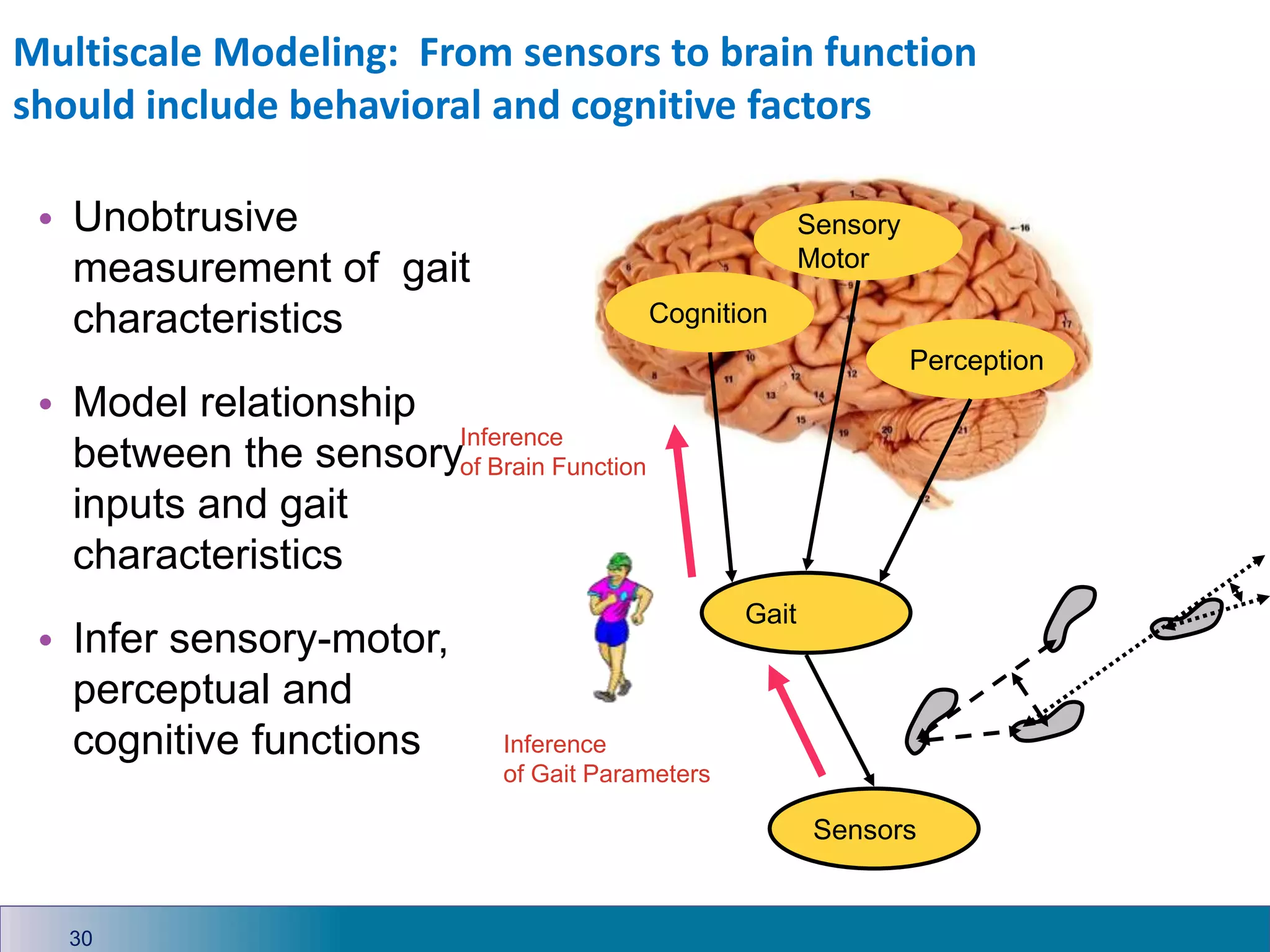 Gait
Sensors
Multiscale Modeling: From sensors to brain function
should include behavioral and cognitive factors
• Unobtrusive
measurement of gait
characteristics
• Model relationship
between the sensory
inputs and gait
characteristics
• Infer sensory-motor,
perceptual and
cognitive functions
Cognition
Perception
Sensory
Motor
Inference
of Gait Parameters
Cognition
Perception
Sensory
Motor
Inference
of Brain Function
30
 