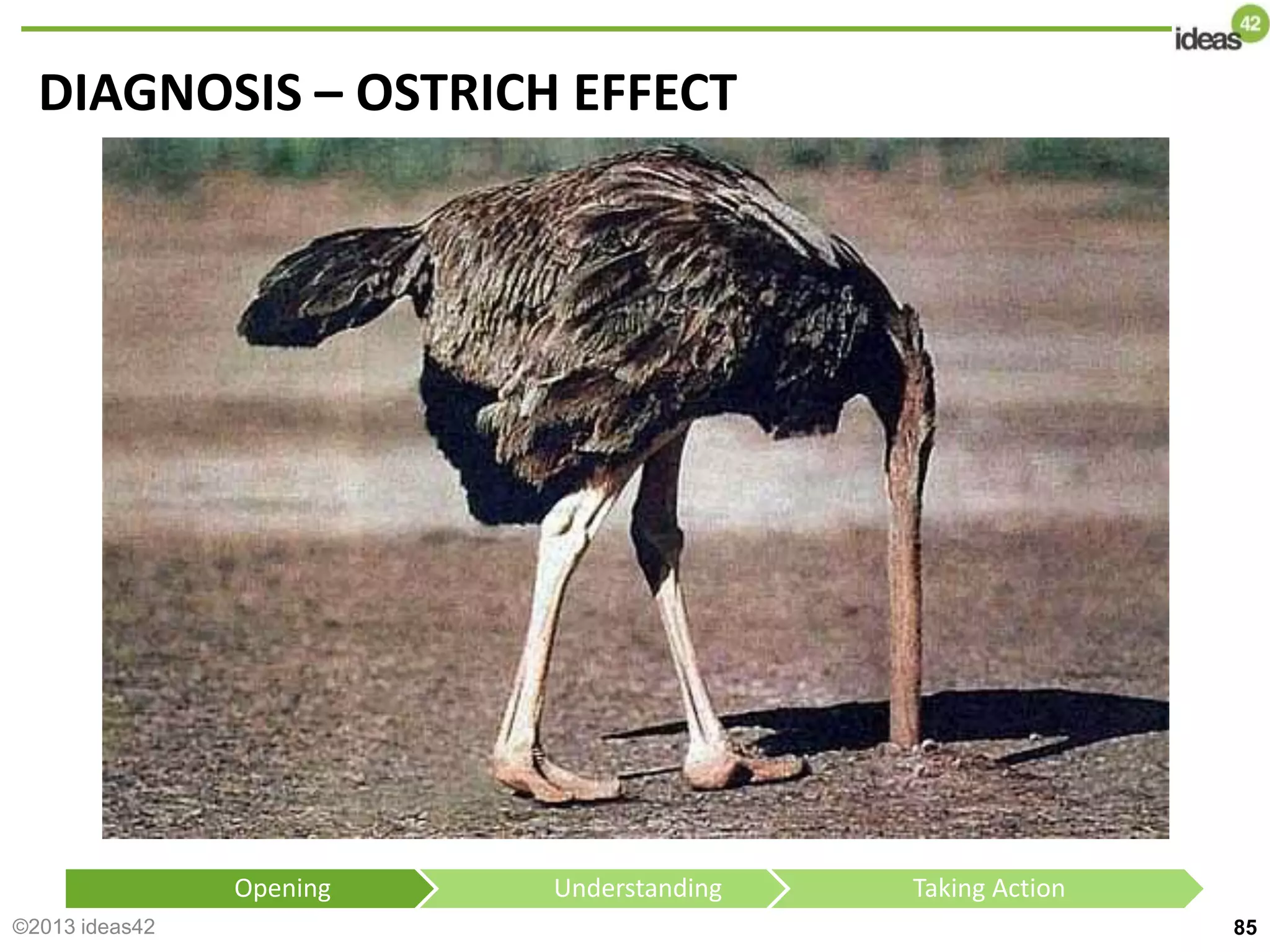 DIAGNOSIS – OSTRICH EFFECT
85
Opening Understanding Taking Action
©2013 ideas42
 