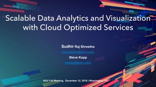 Scalable Data Analytics and Visualization
with Cloud Optimized Services
Sudhir Raj Shrestha
sshrestha@esri.com
Steve Kopp
skopp@esri.com
AGU Fall Meeting, December 12, 2018 | Washington, DC
 
