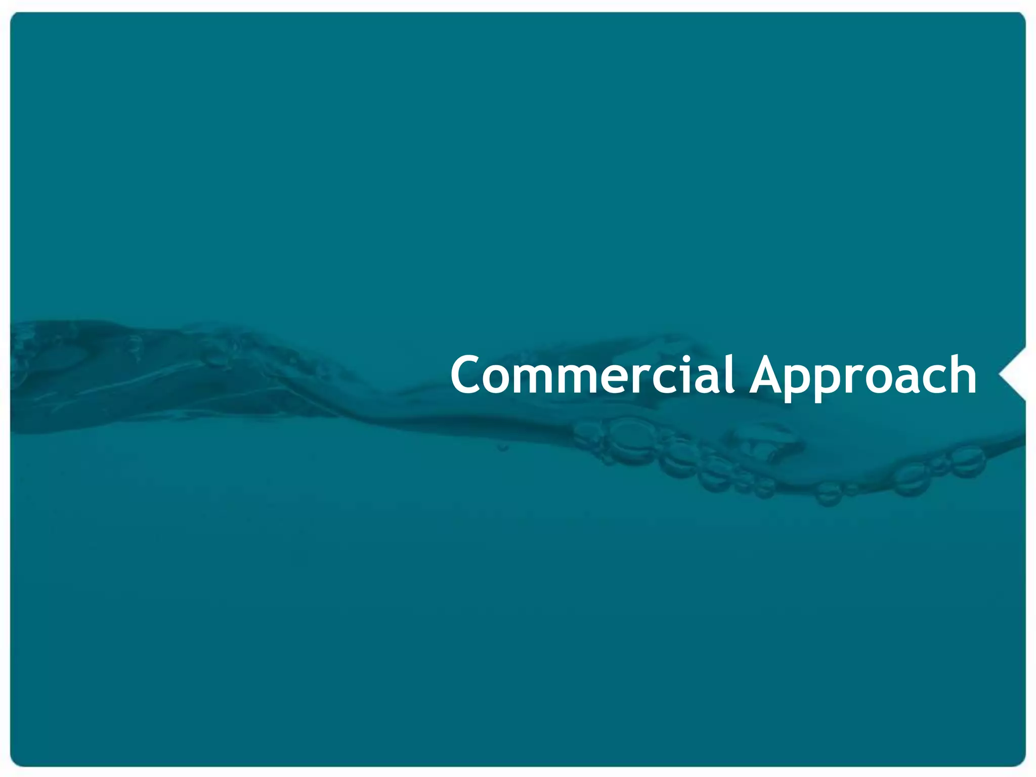 Scalable eCommerce Solutions: Salmon