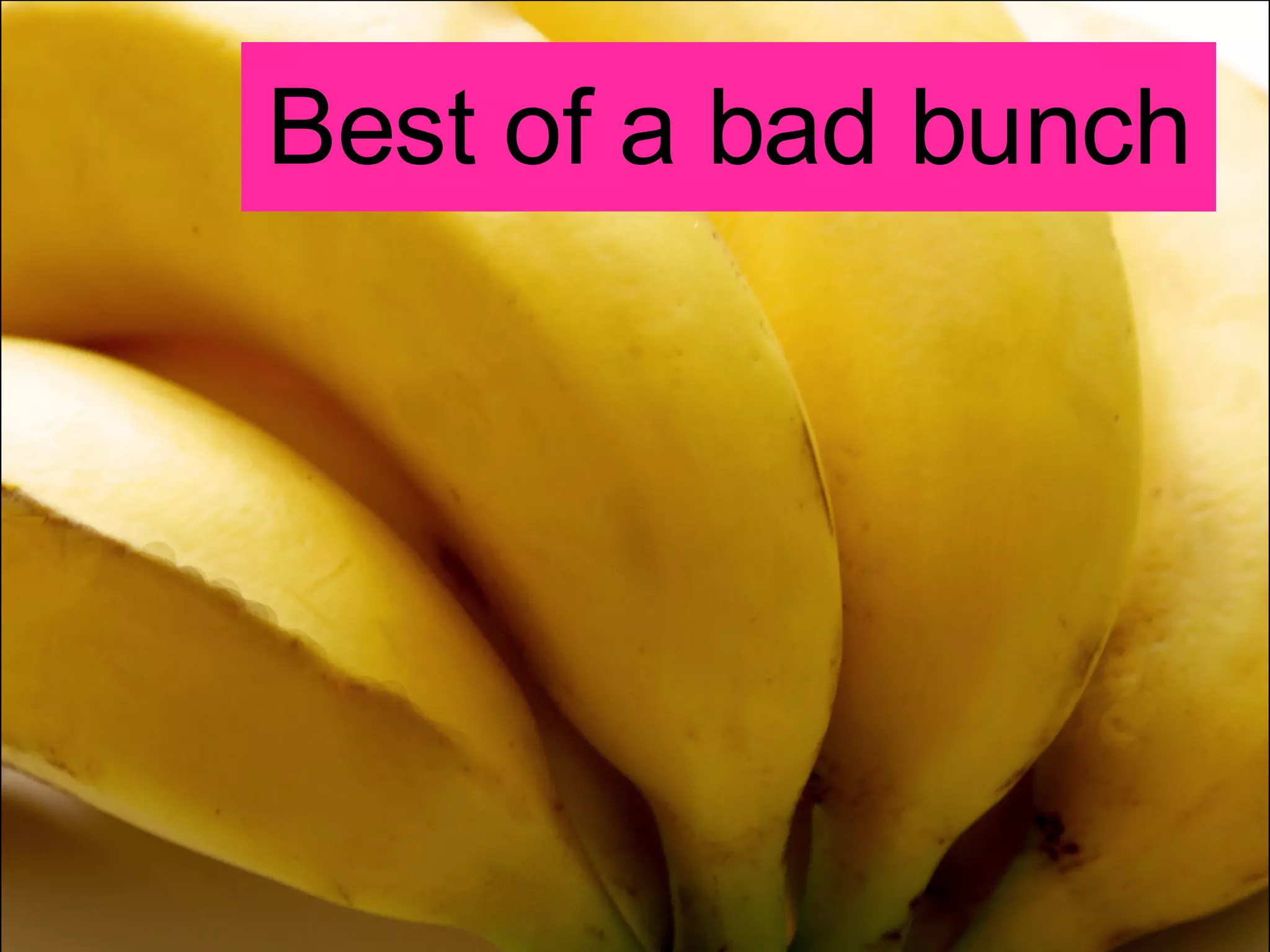 Best of a bad bunch 