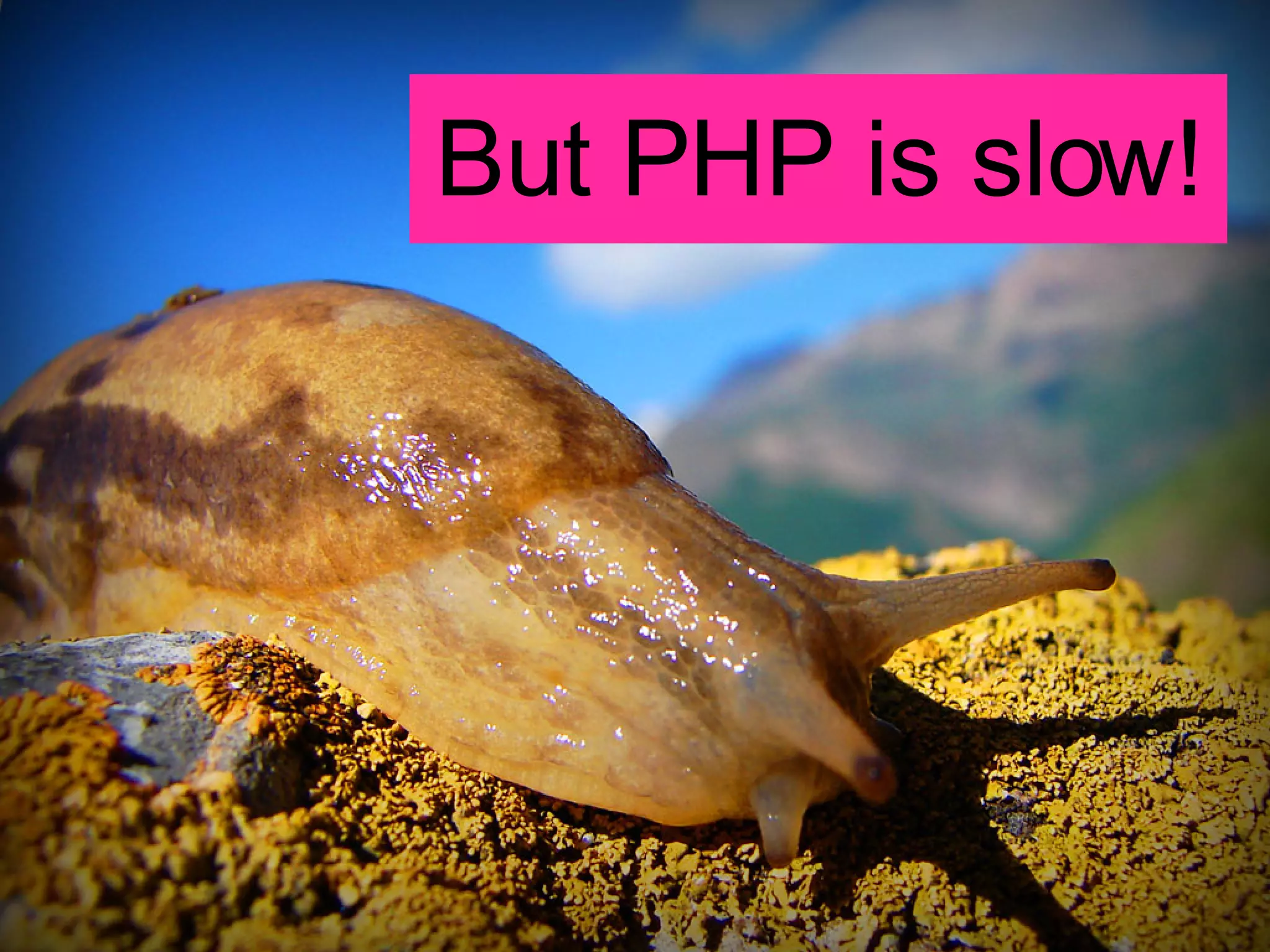 But PHP is slow! 