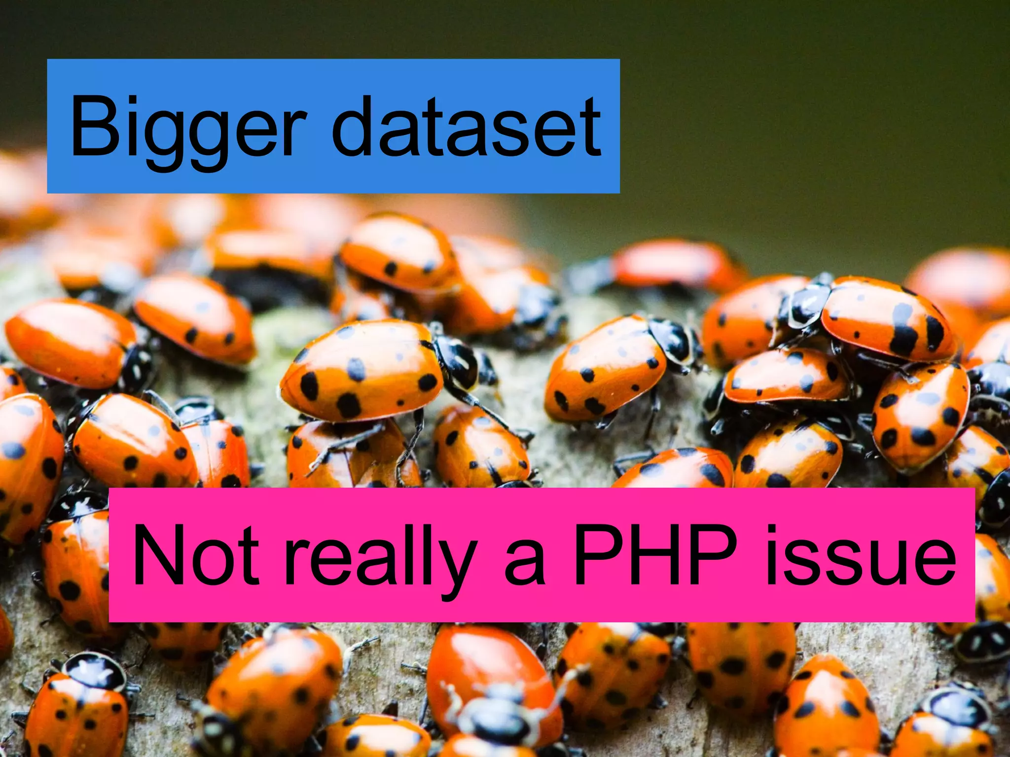 Bigger dataset Not really a PHP issue 