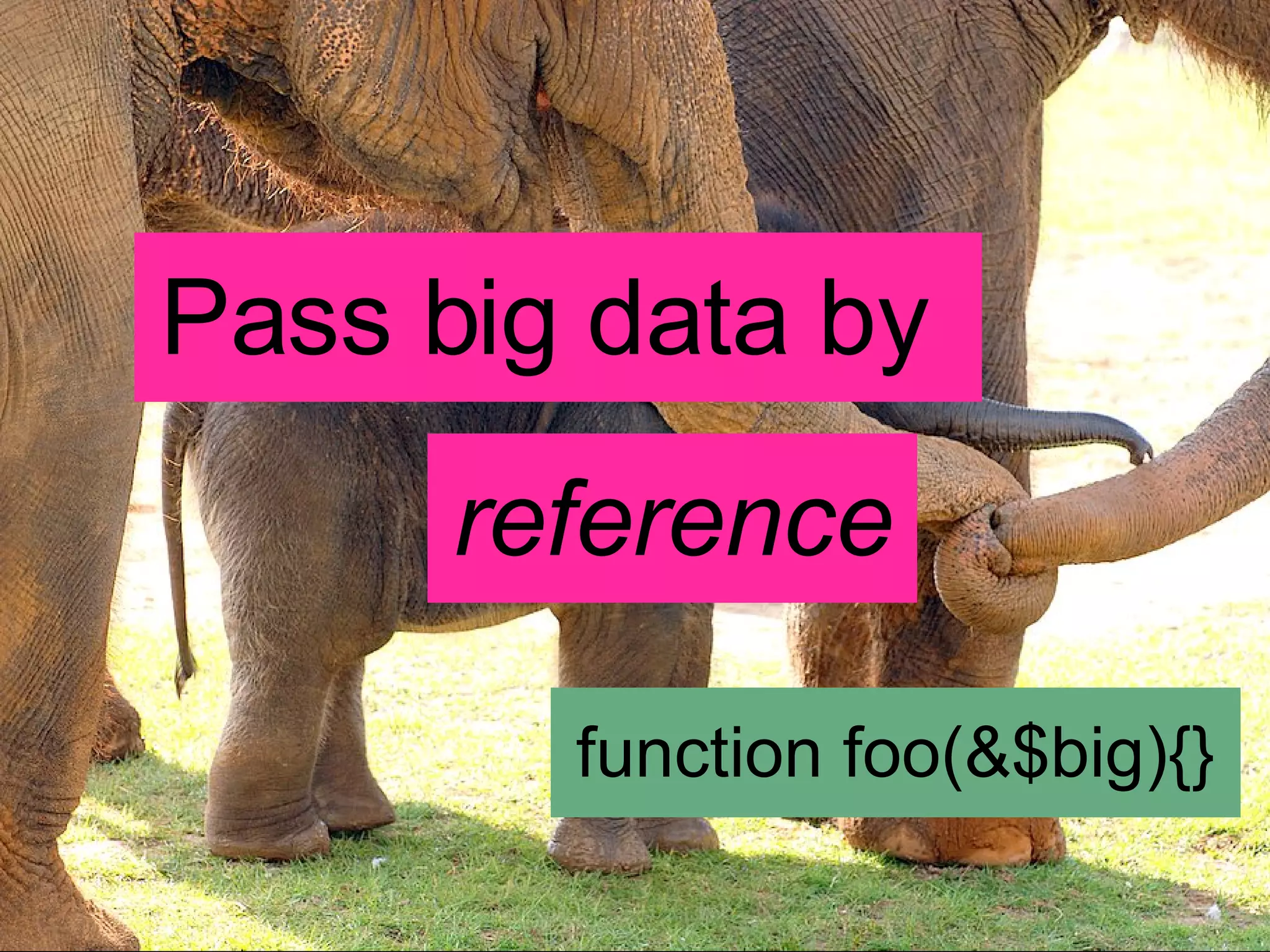 Pass big data by  function foo(&$big){} reference 