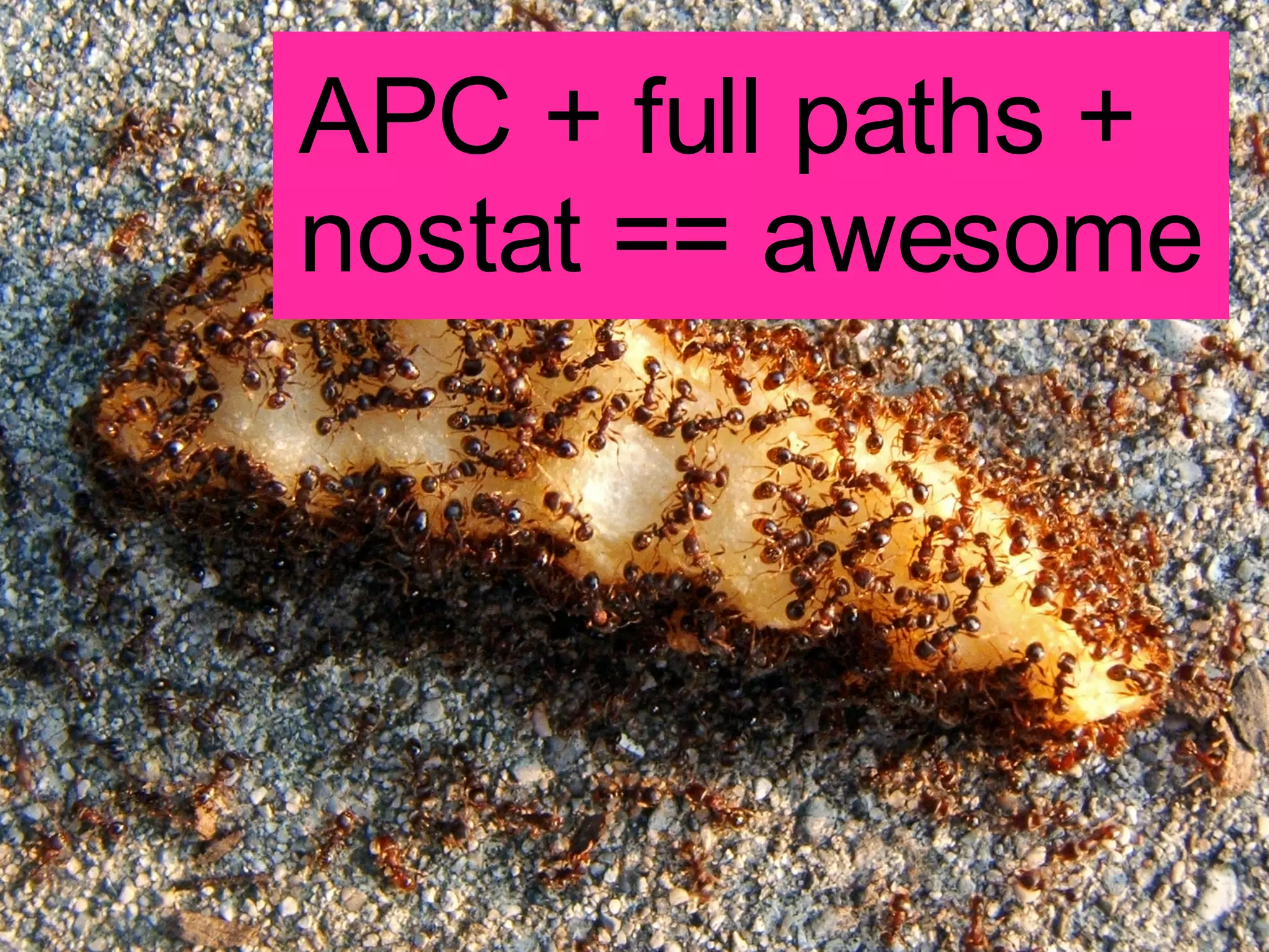 APC + full paths +  nostat == awesome 
