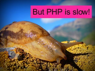 But PHP is slow! 
