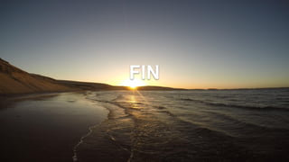 FIN
 
