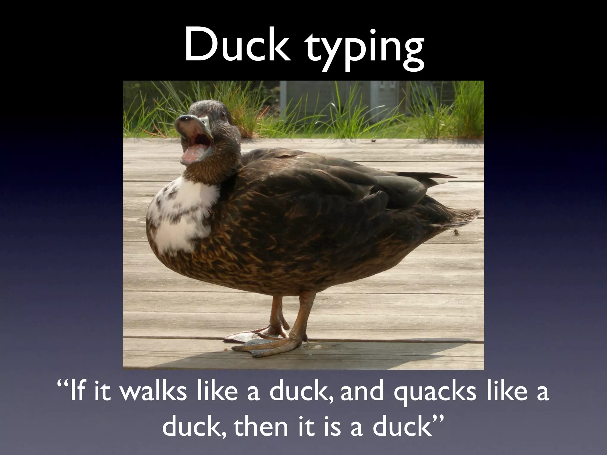 Duck typing




“If it walks like a duck, and quacks like a
          duck, then it is a duck”
 