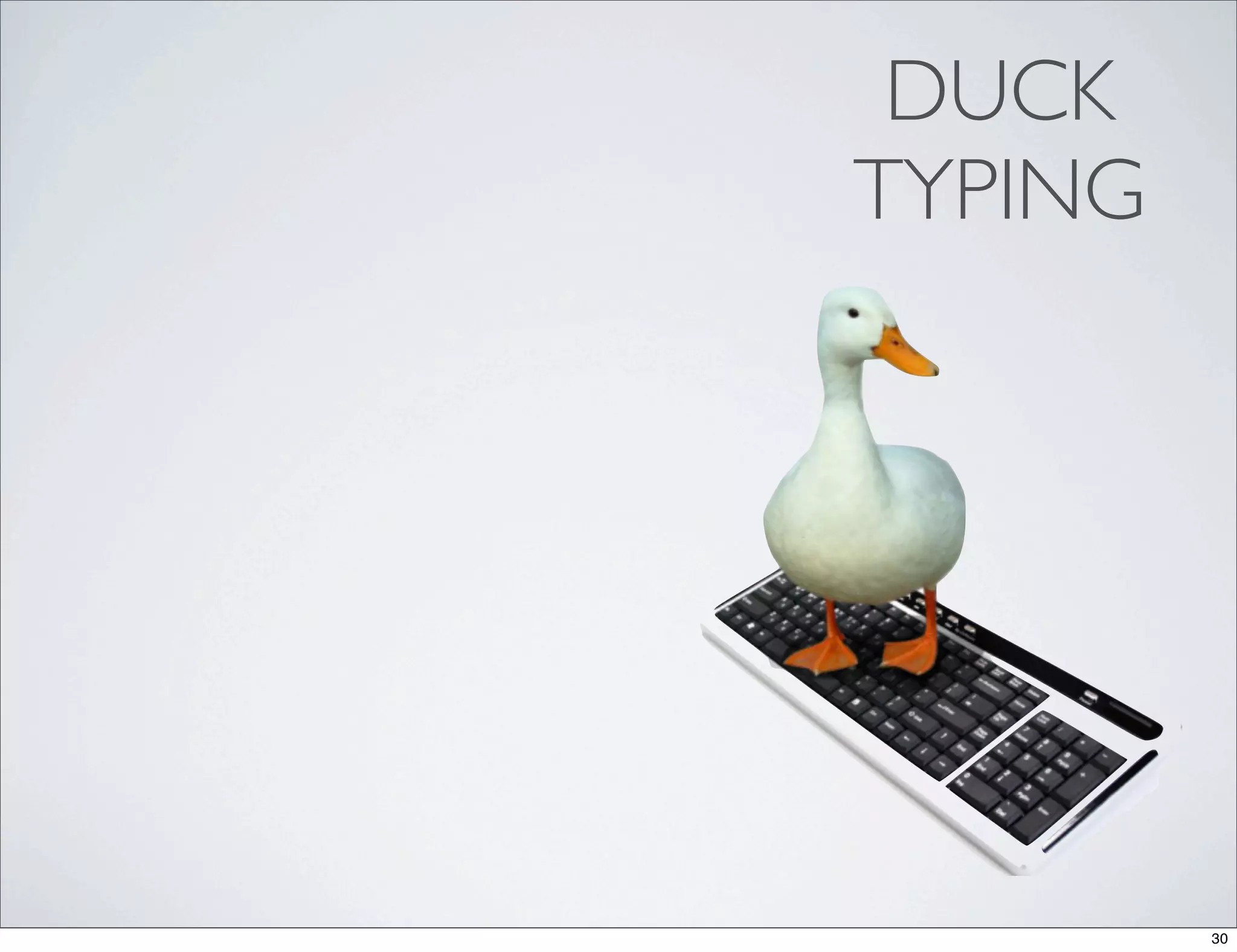 DUCK
TYPING




         30
 