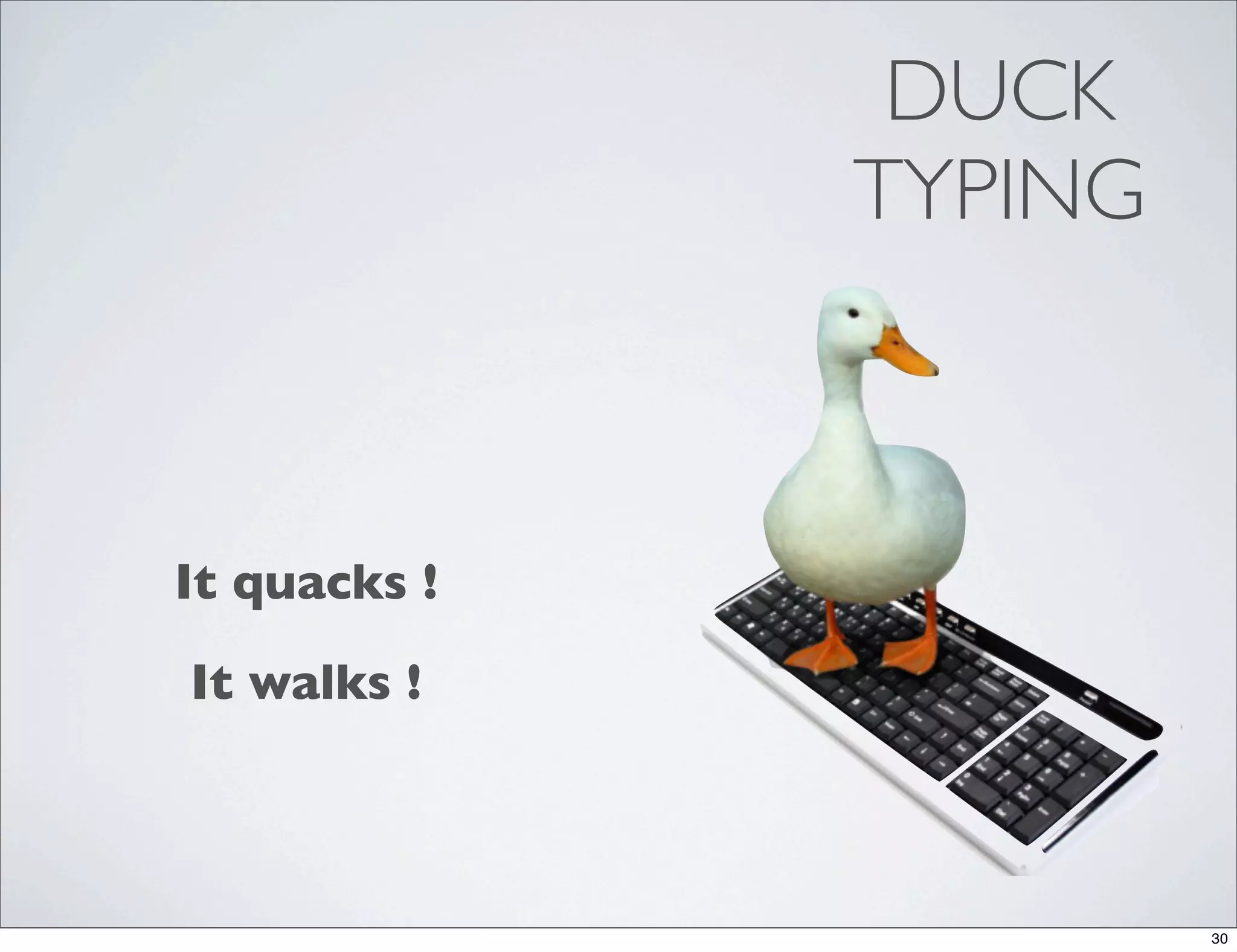 DUCK
              TYPING



It quacks !
It walks !



                       30
 
