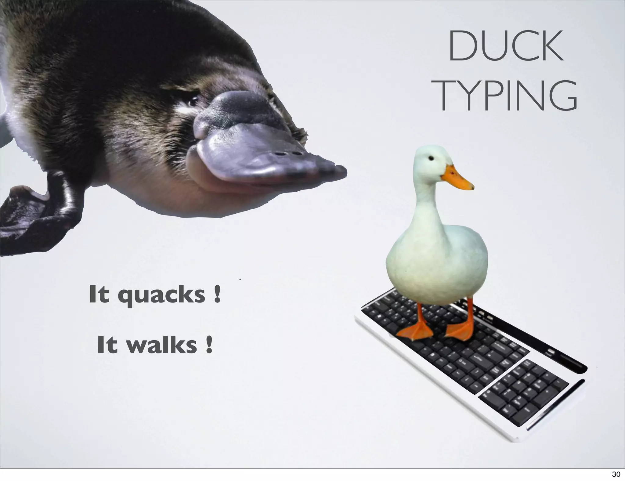DUCK
              TYPING



It quacks !
It walks !



                       30
 