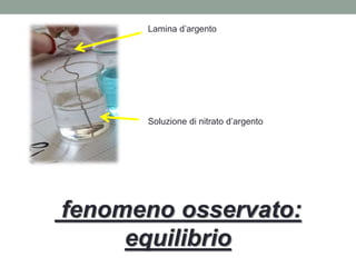Lamina d’argento
Soluzione di nitrato d’argento
fenomeno osservato:
equilibrio
 