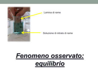 Lamina di rame
Soluzione di nitrato di rame
Fenomeno osservato:
equilibrio
 