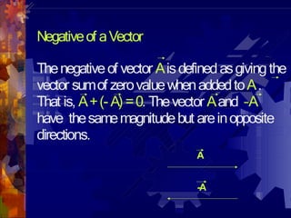 Negative Value Vector Scalar and Vector pdf.pdffxdgfghfgdrfggh | PDF