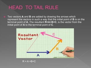 Scalar and vector quantities | PPTX