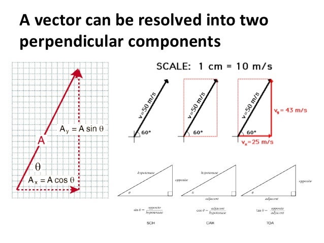 OCR Physics A Scalars and vectors
