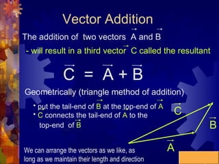 Scalars and vectors | PPT